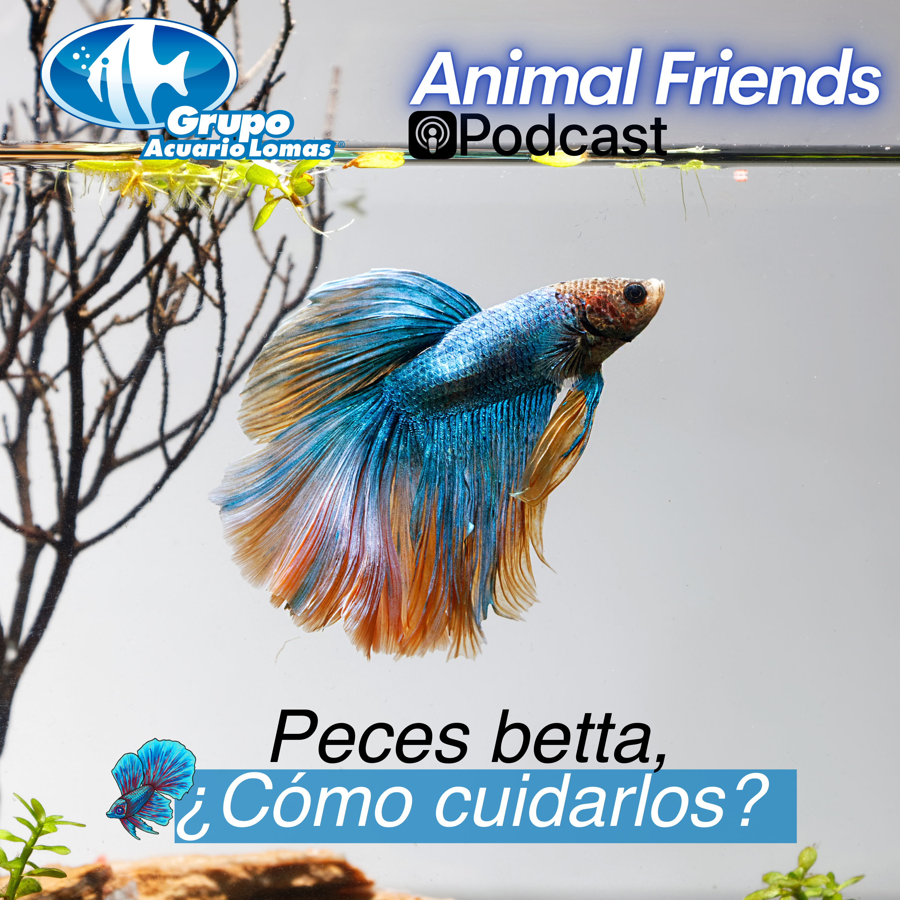 Animal Friends