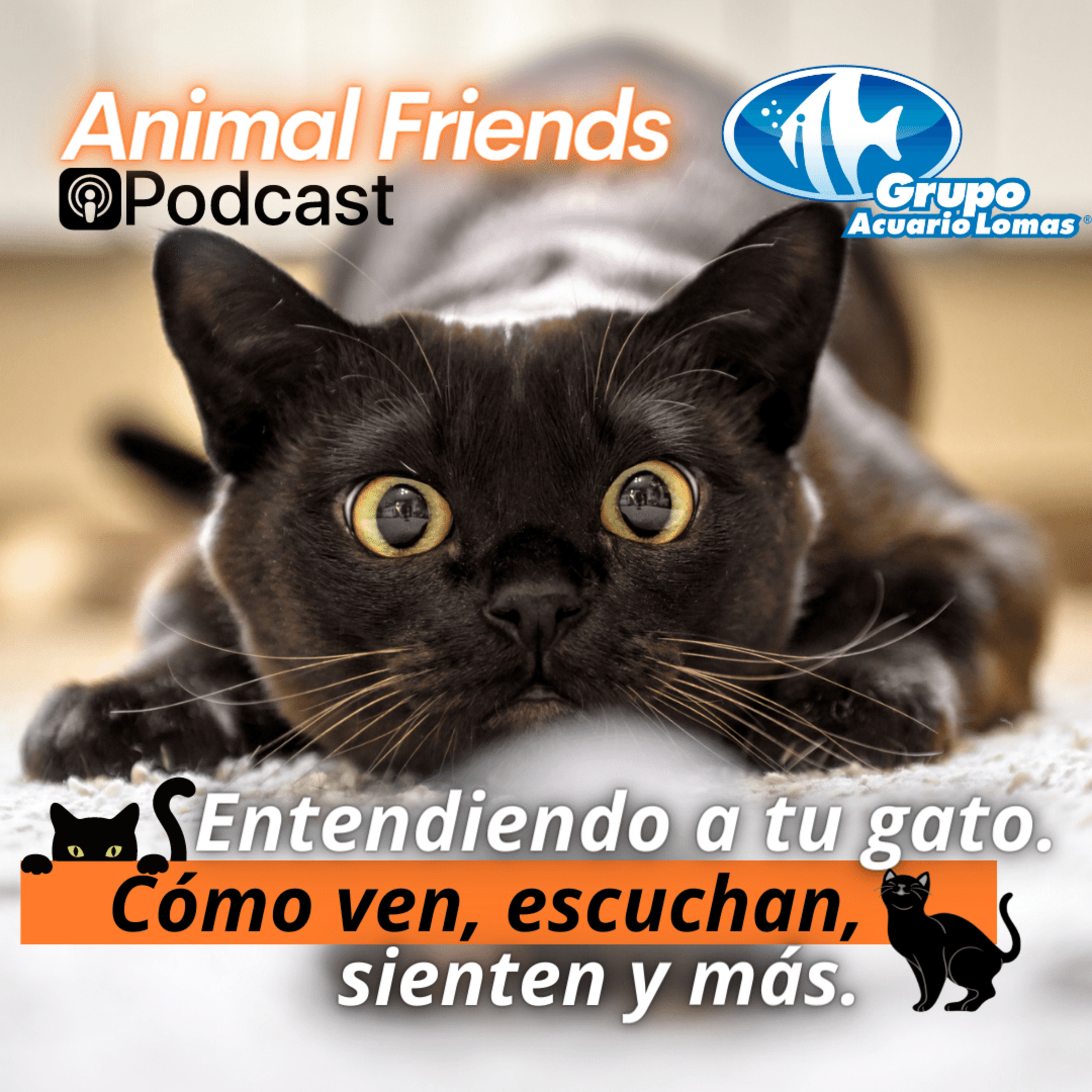 Animal Friends