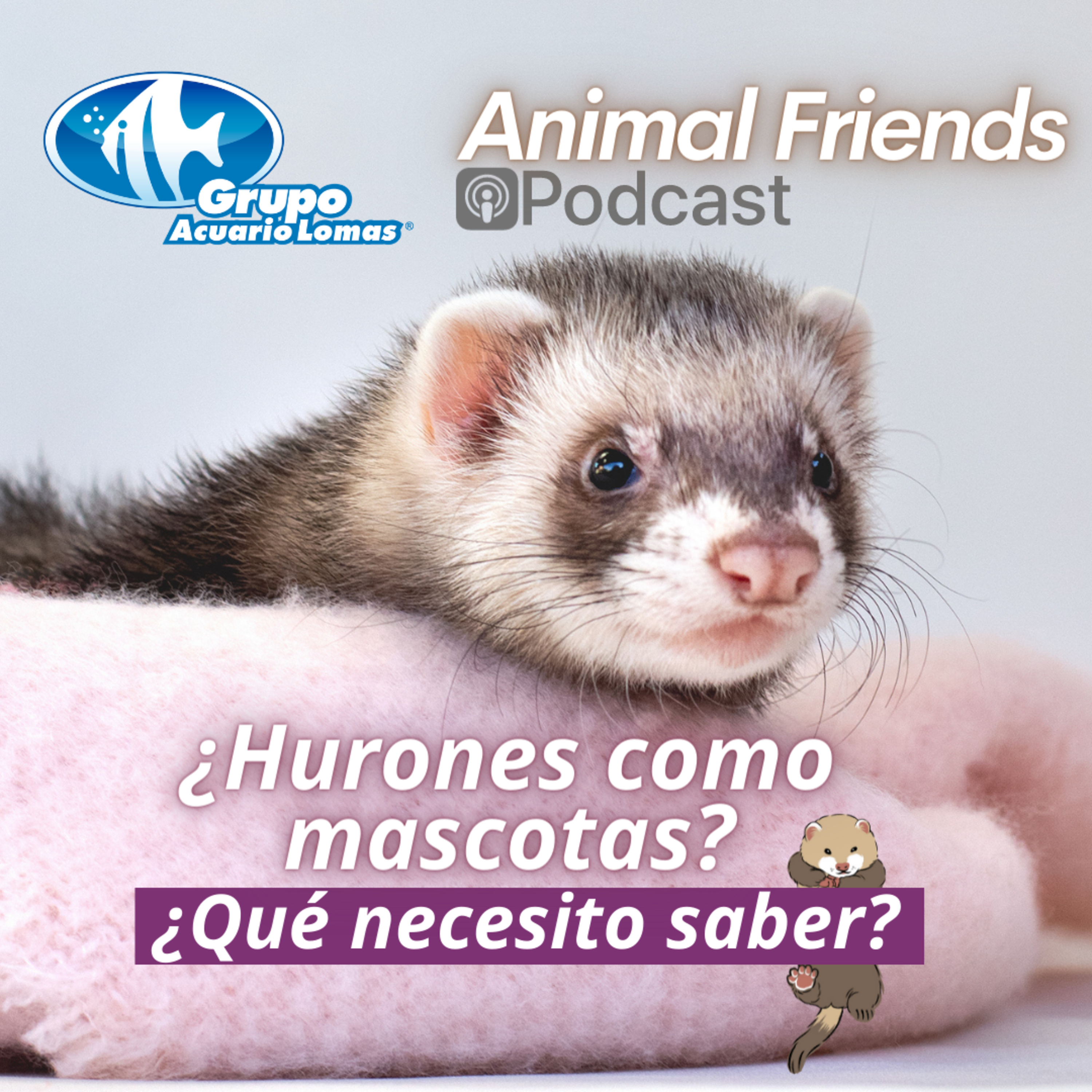 Animal Friends
