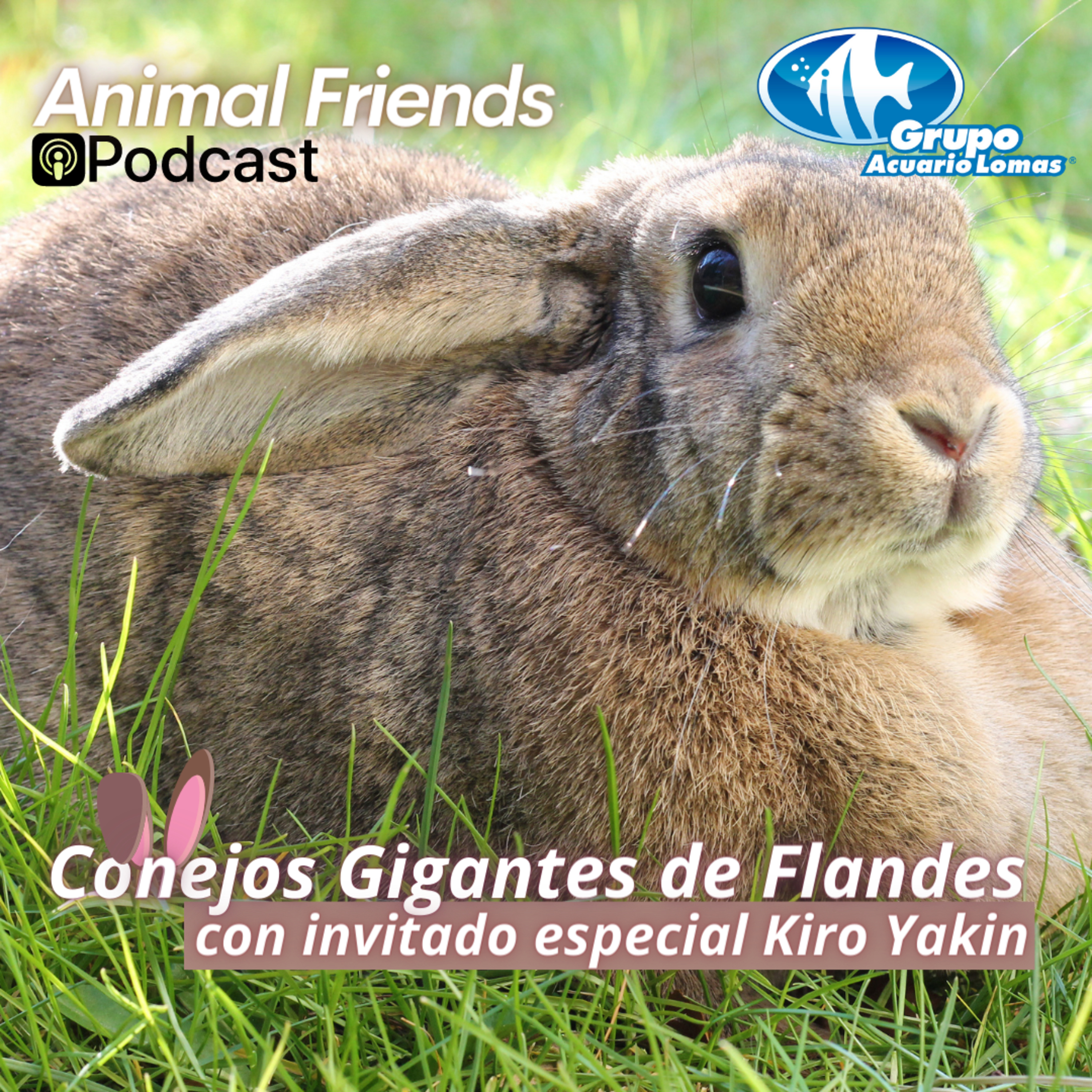 Animal Friends