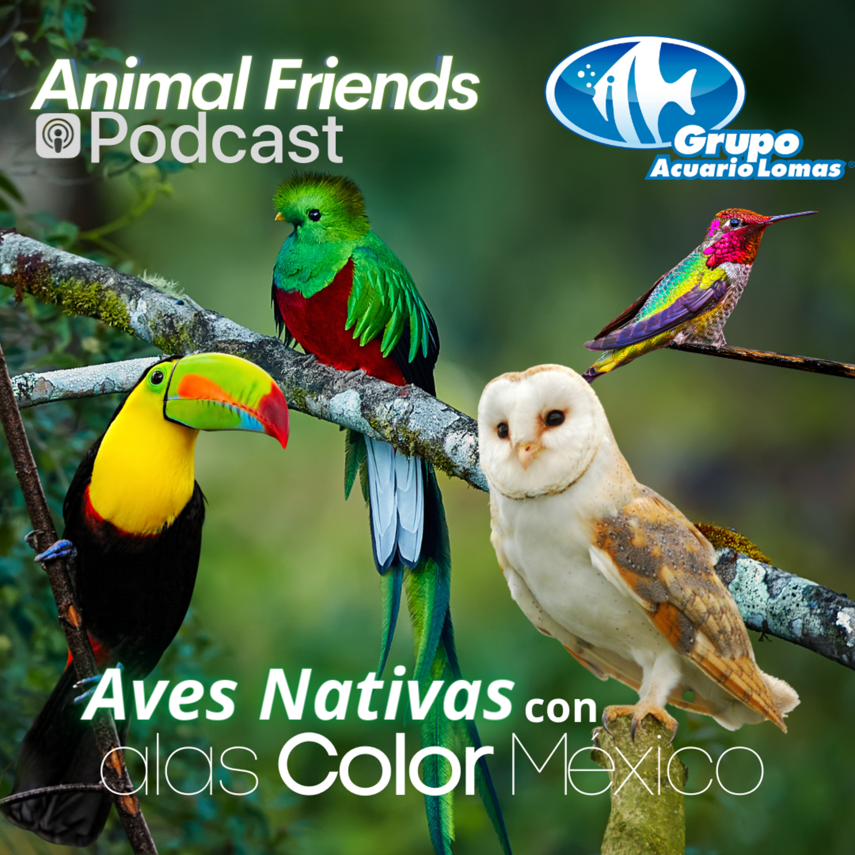 Animal Friends