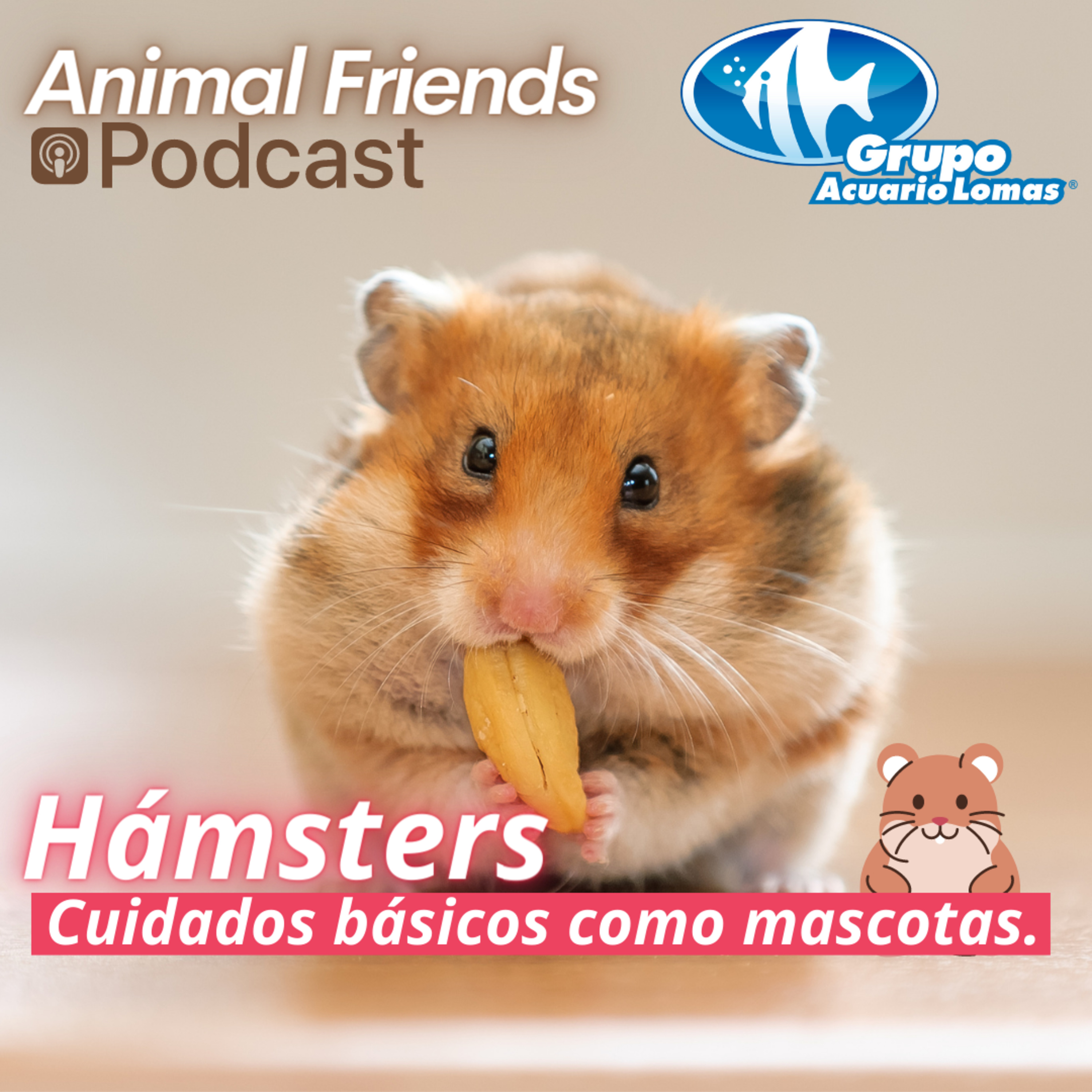 Animal Friends