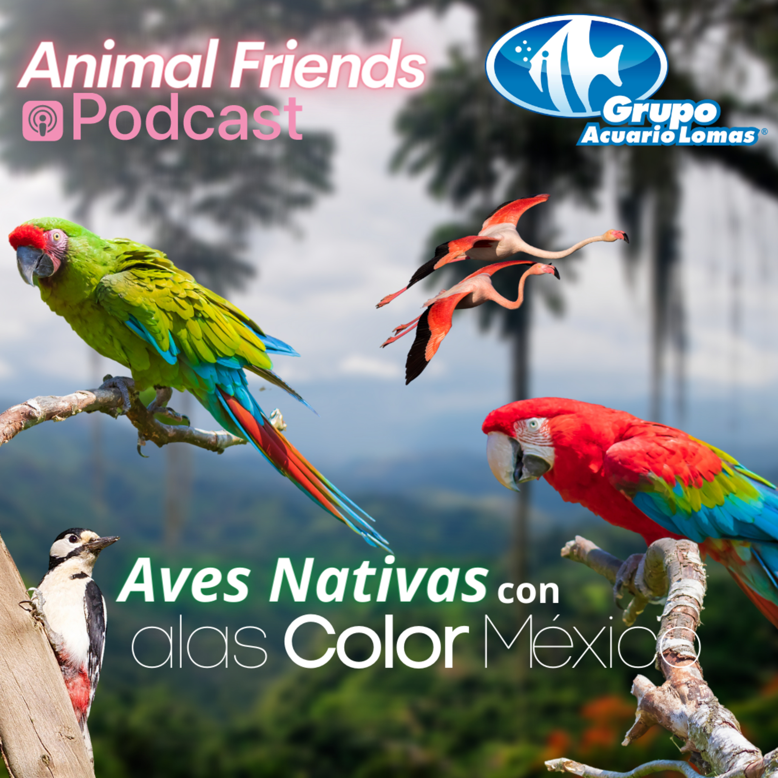 Animal Friends