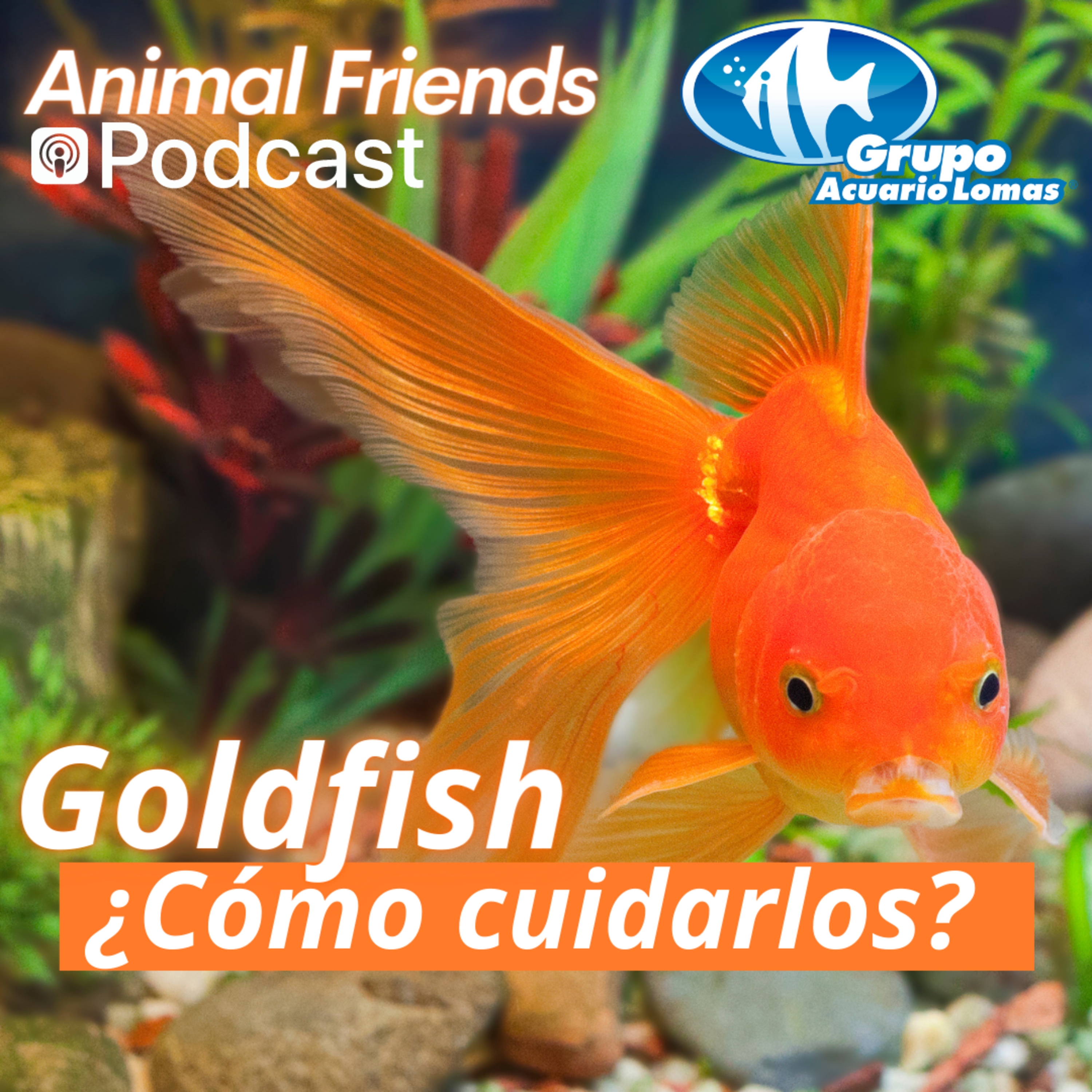 Animal Friends
