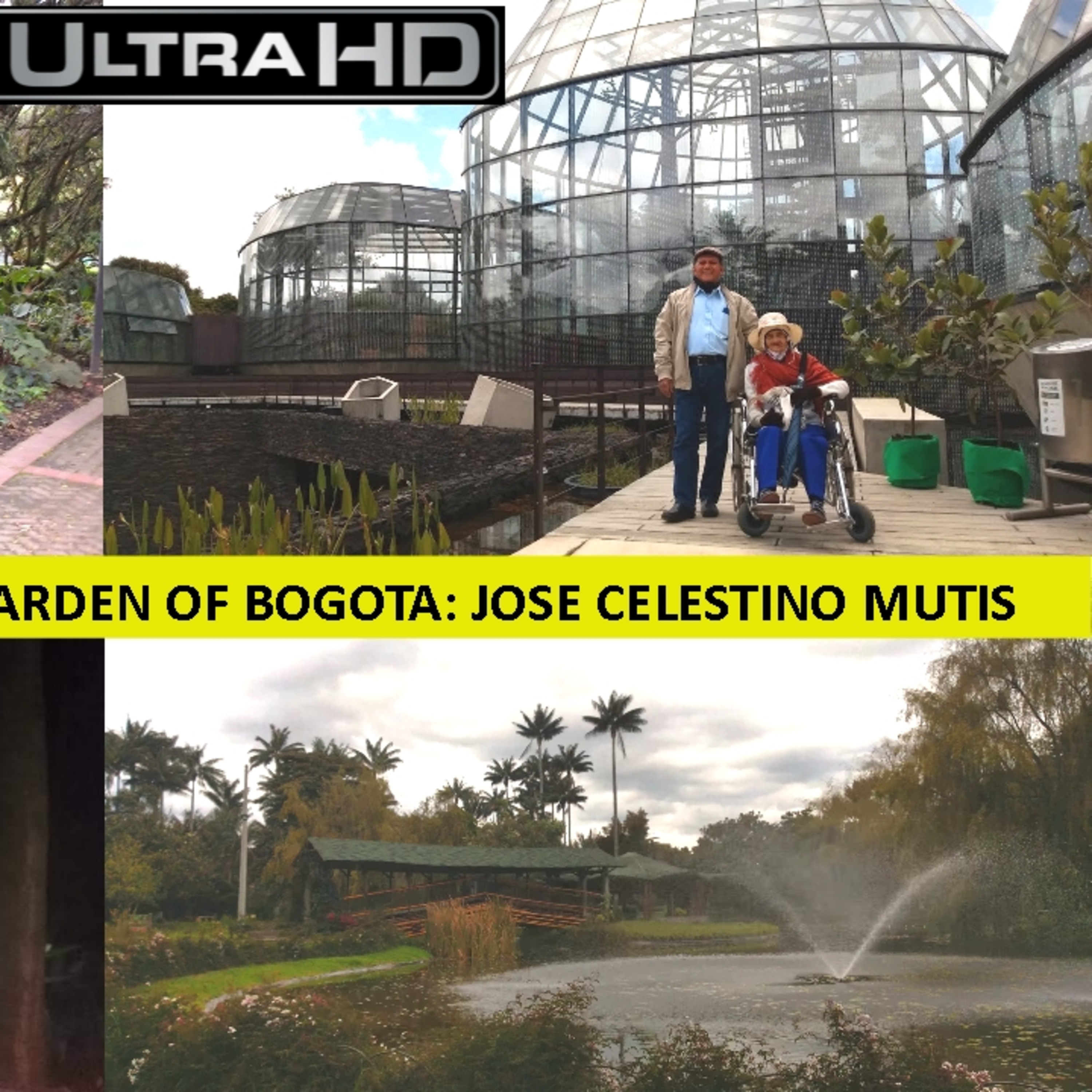 Review on the Botanical Garden of Bogota episode artwork
