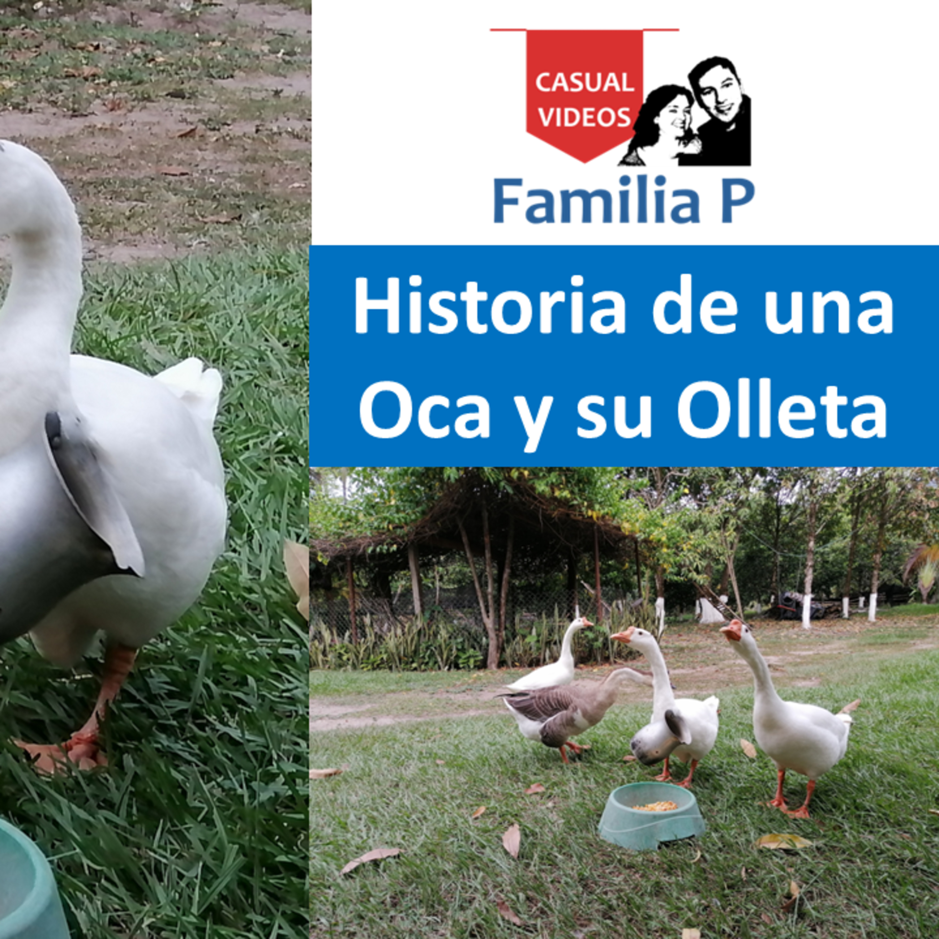 Historia de una Oca y una Olleta episode artwork