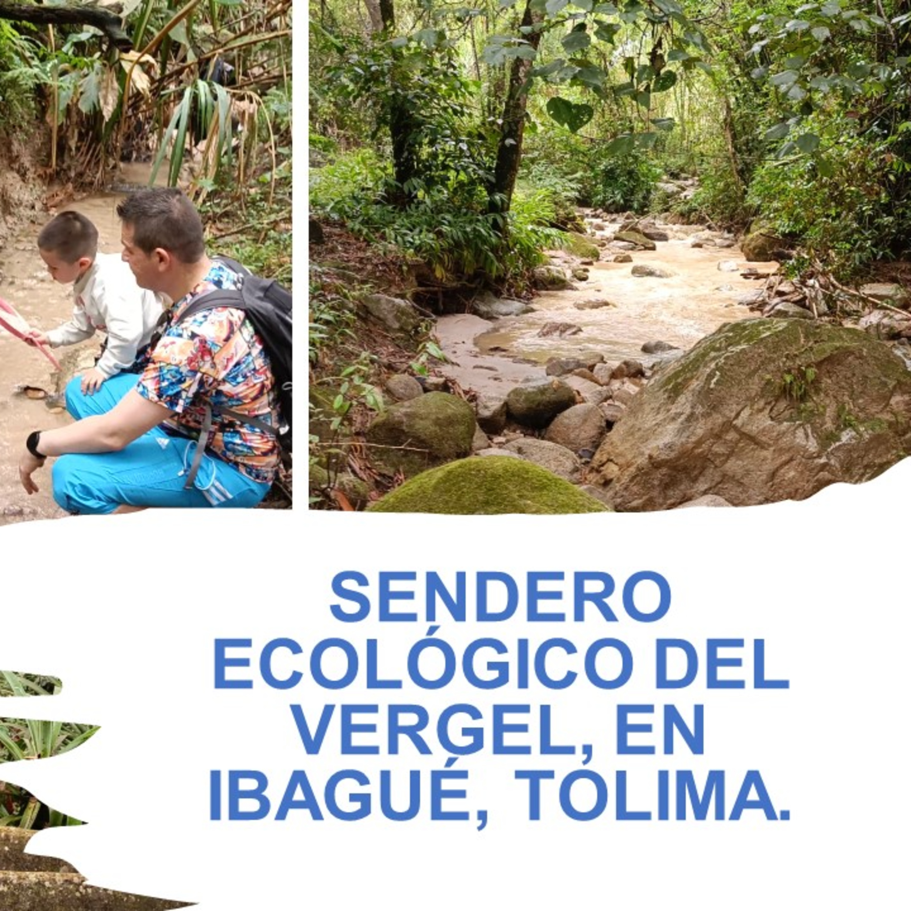 Reseña Sendero Ecológico del Vergel episode artwork