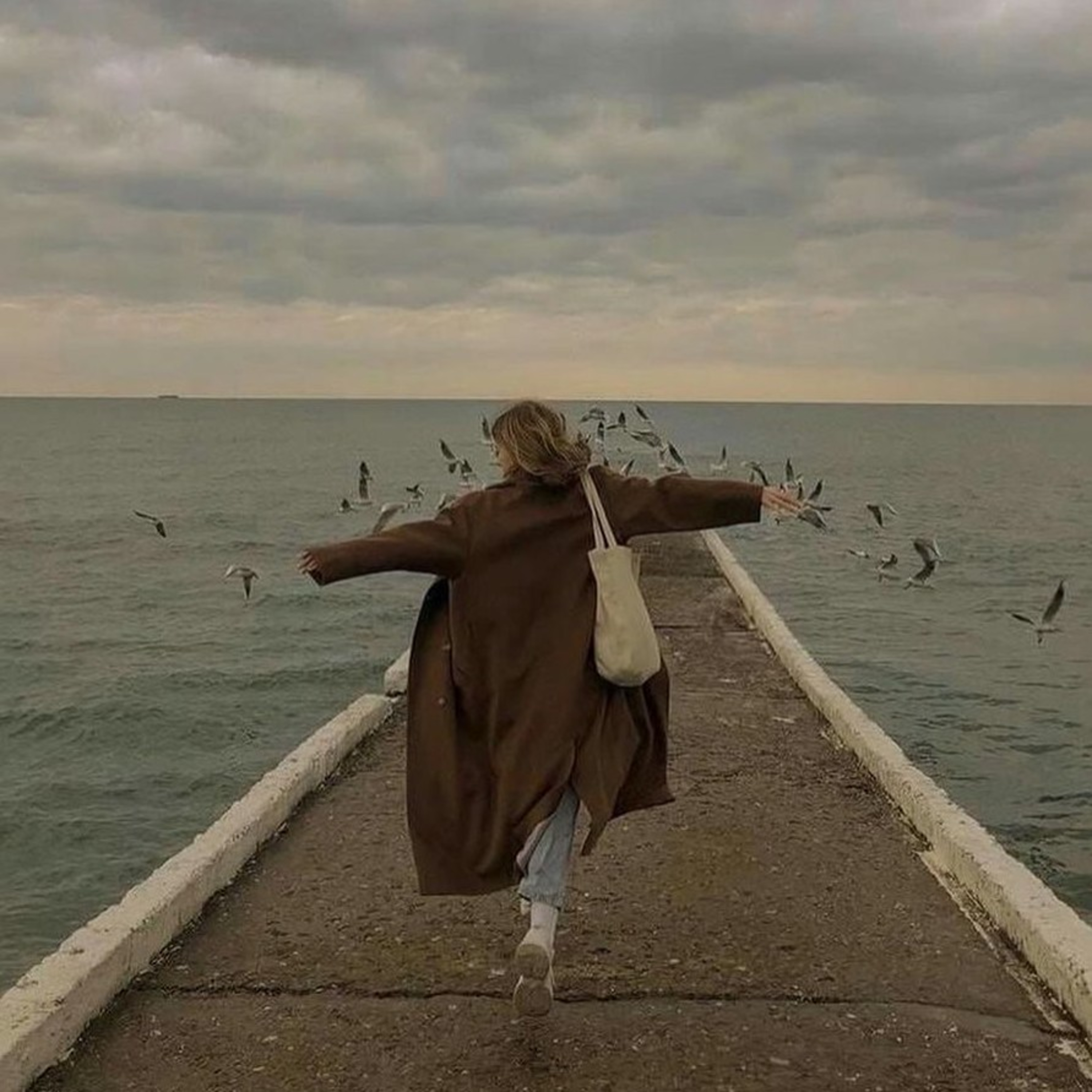 Eylül-Seyyah episode artwork