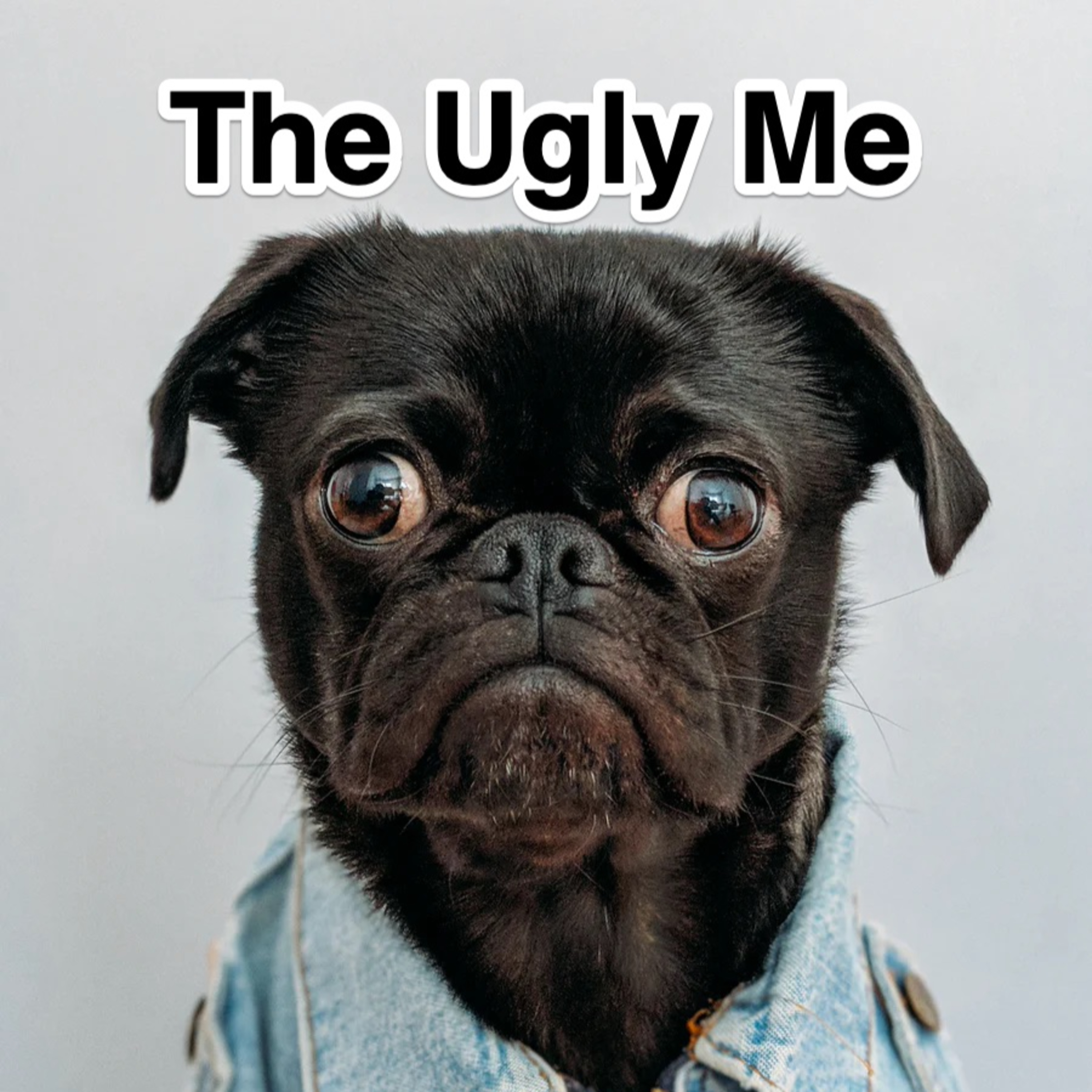 Podcast #9: The ugly me episode artwork