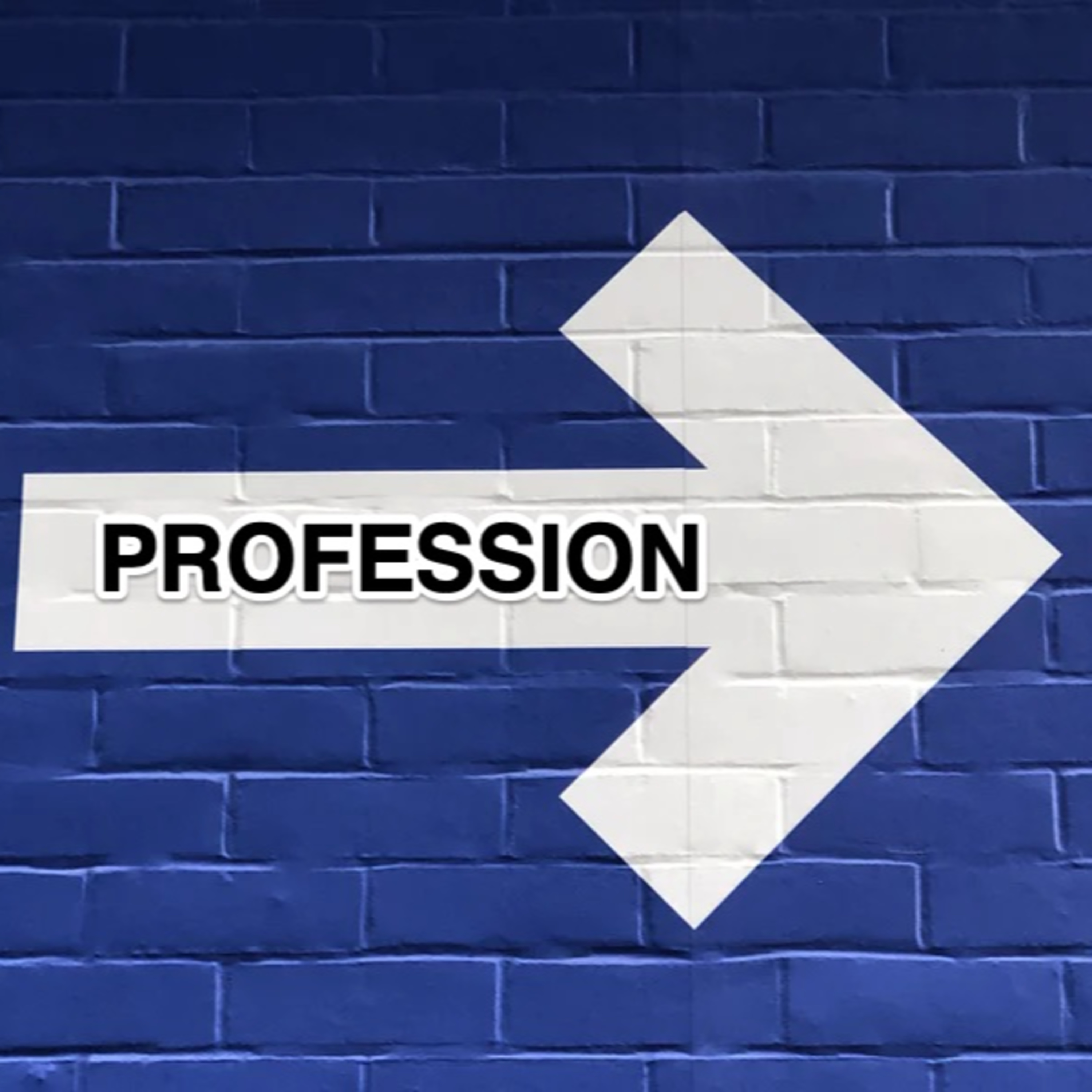 Podcast #11: Profession Change episode artwork