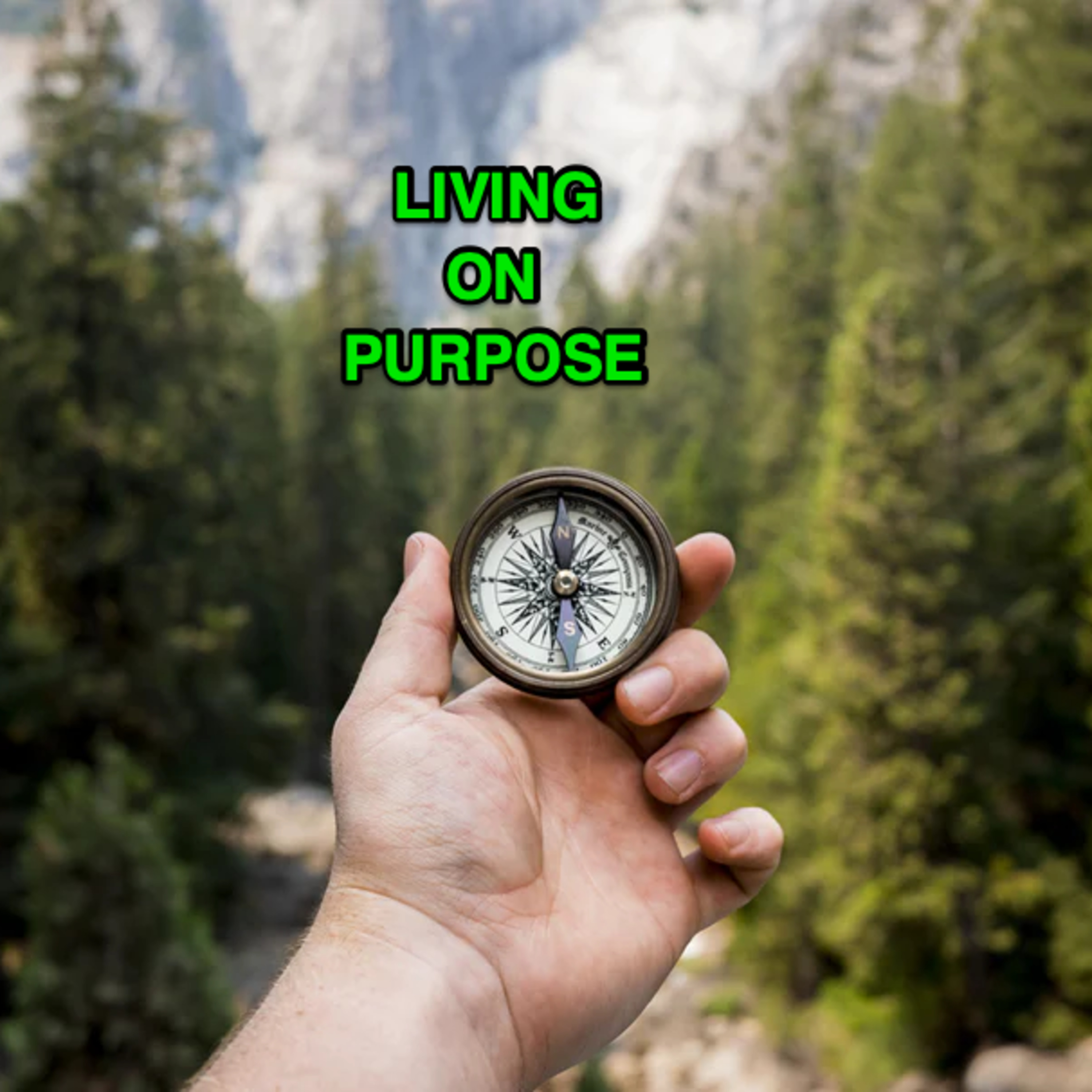 #22: Living on purpose / Sống có mục đích episode artwork