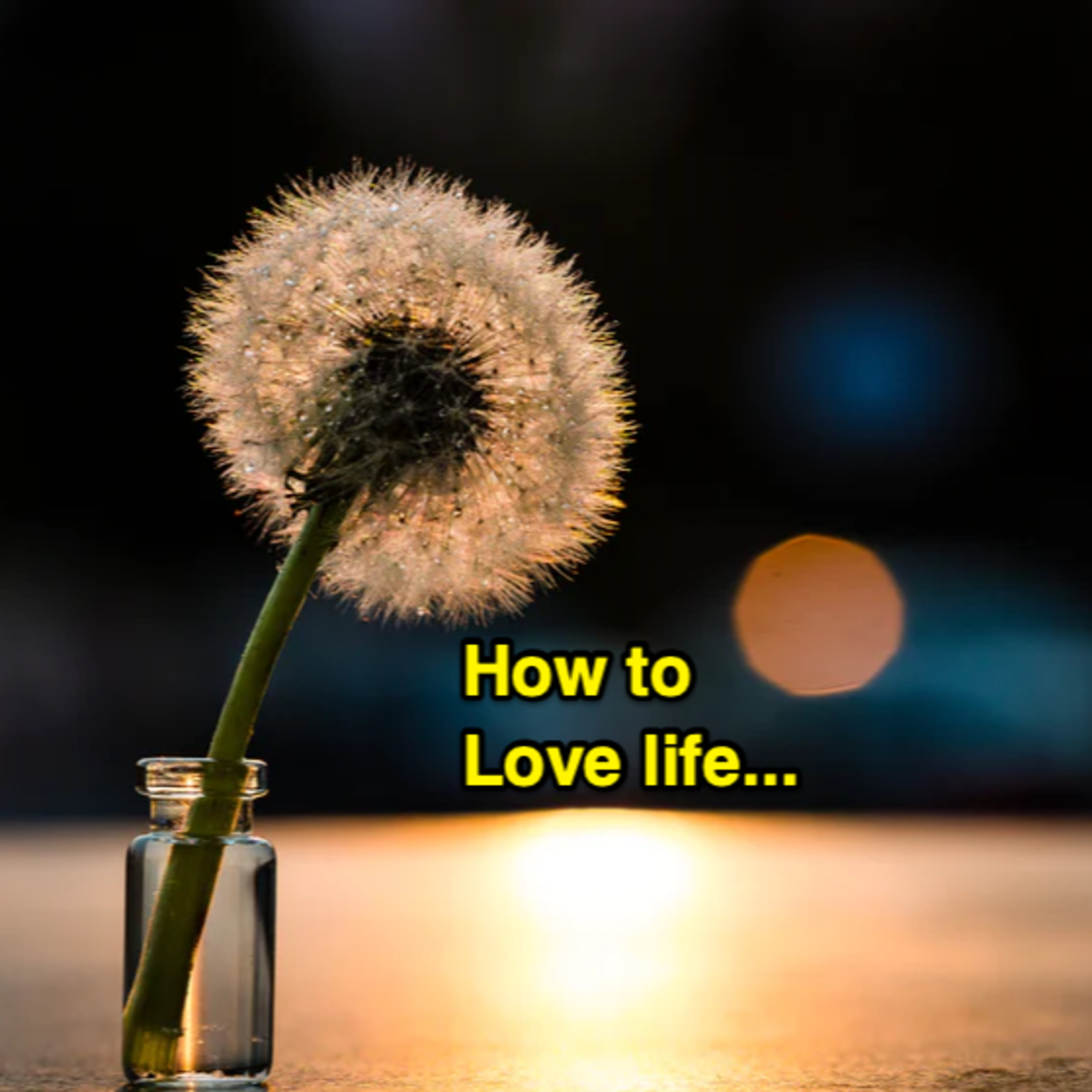 #44: How to love life / Ta là ai mà yêu quá đời này... episode artwork