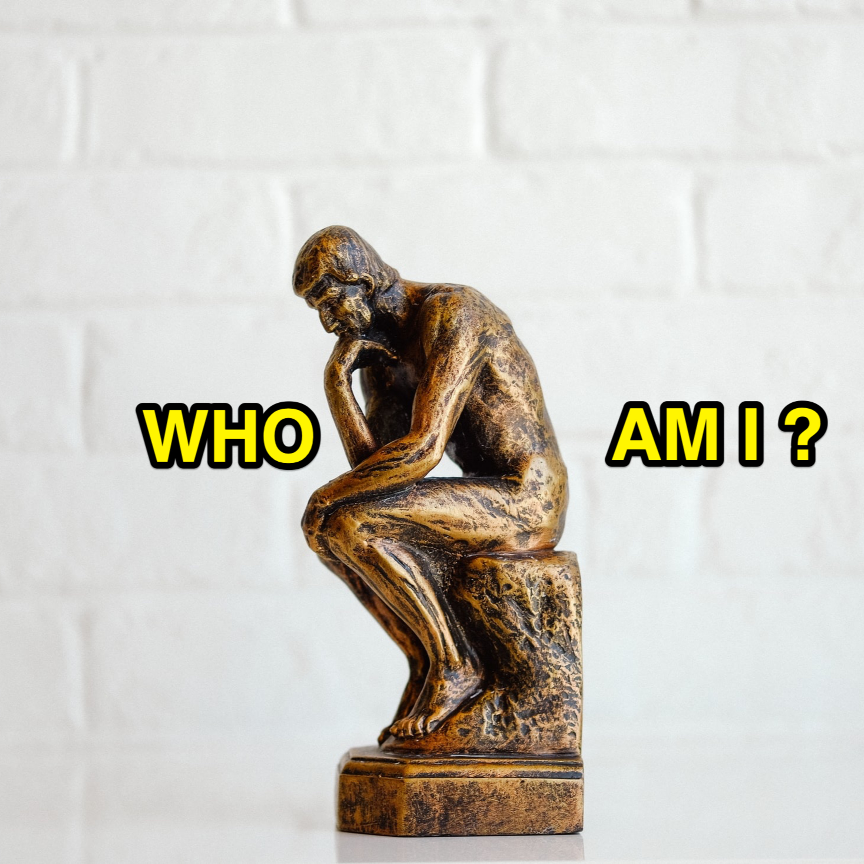 #53 Biết mình biết người trăm trận không thua / Know yourself! episode artwork