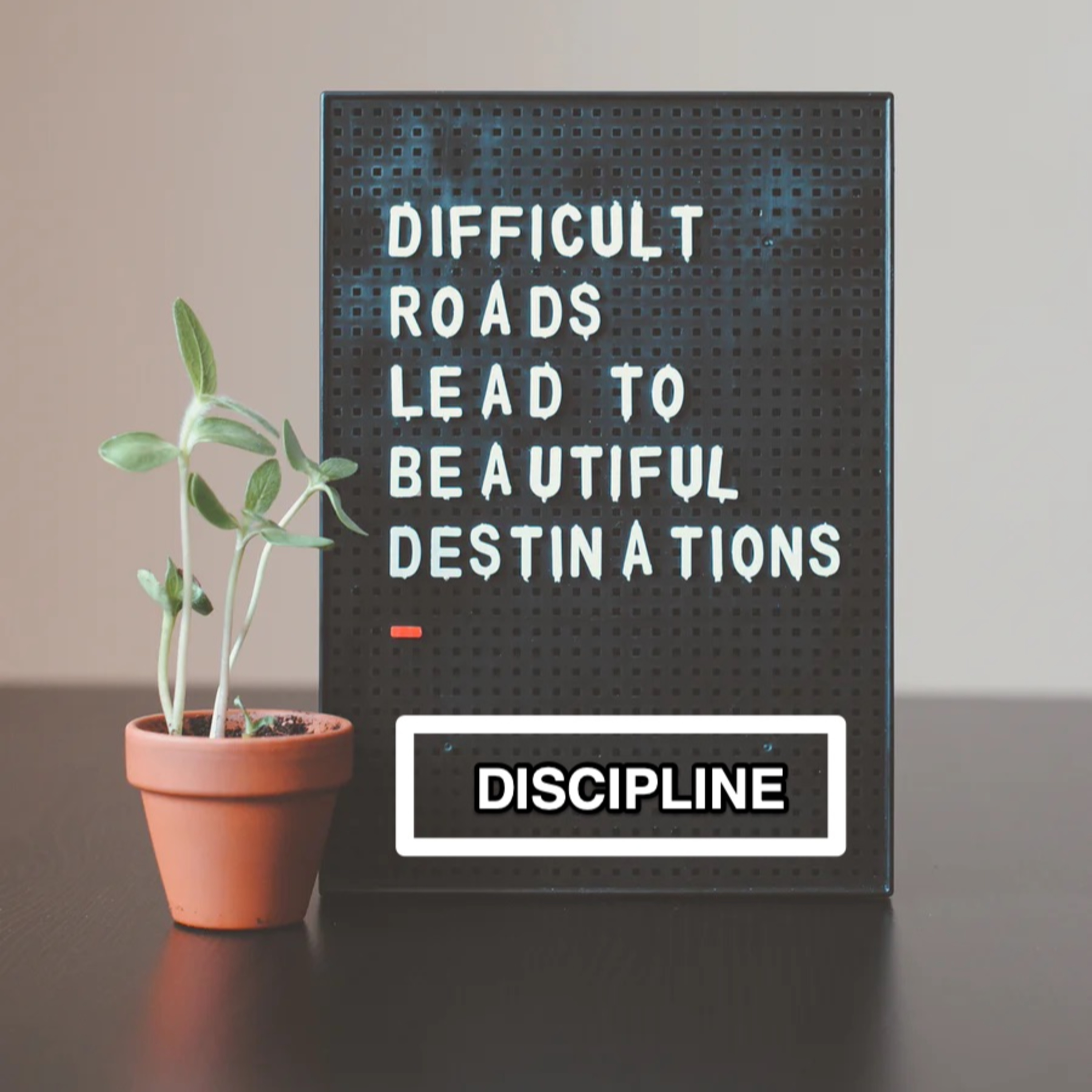#58: Discipline \ Kỷ luật episode artwork