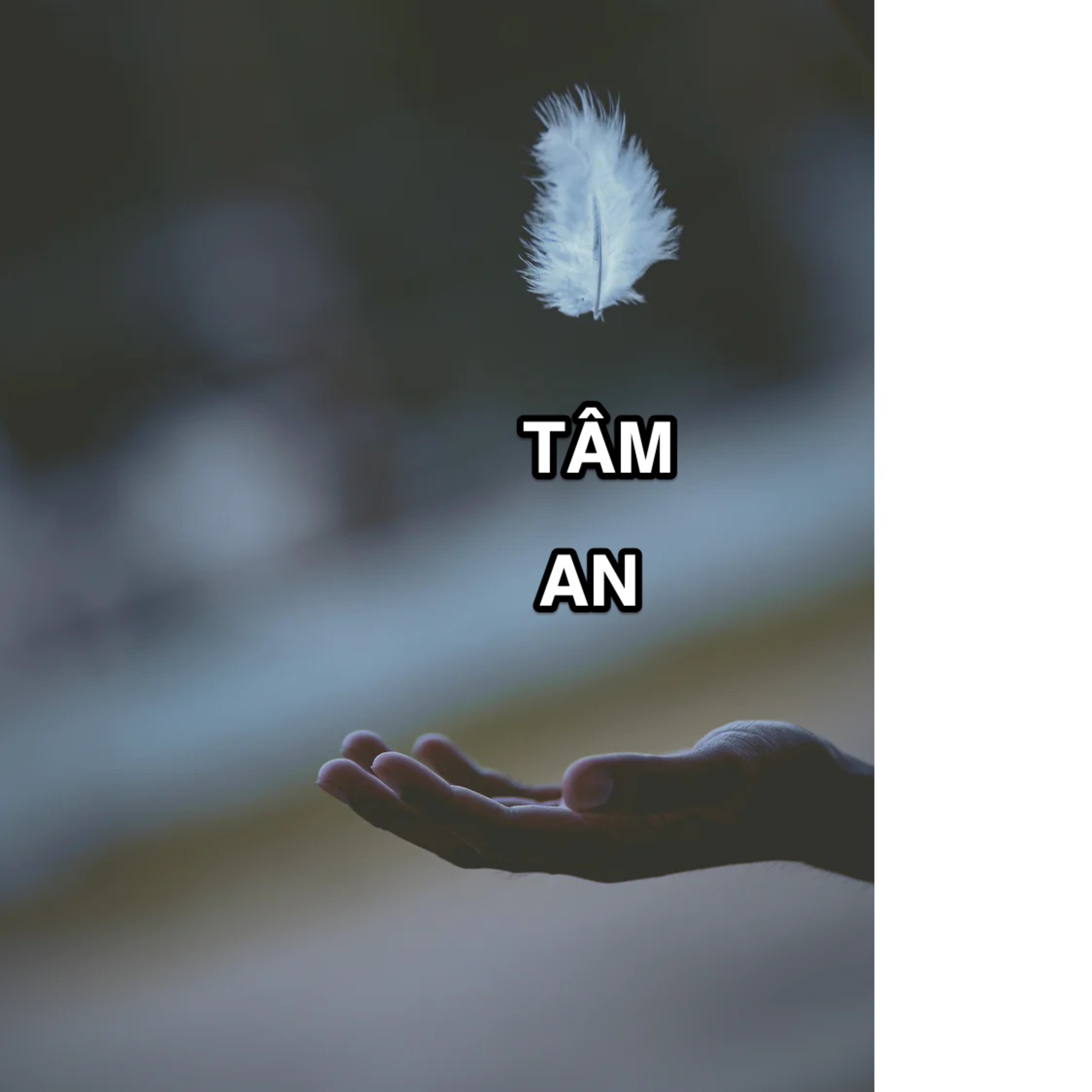 #60: Ngày cuối năm - Tâm an episode artwork
