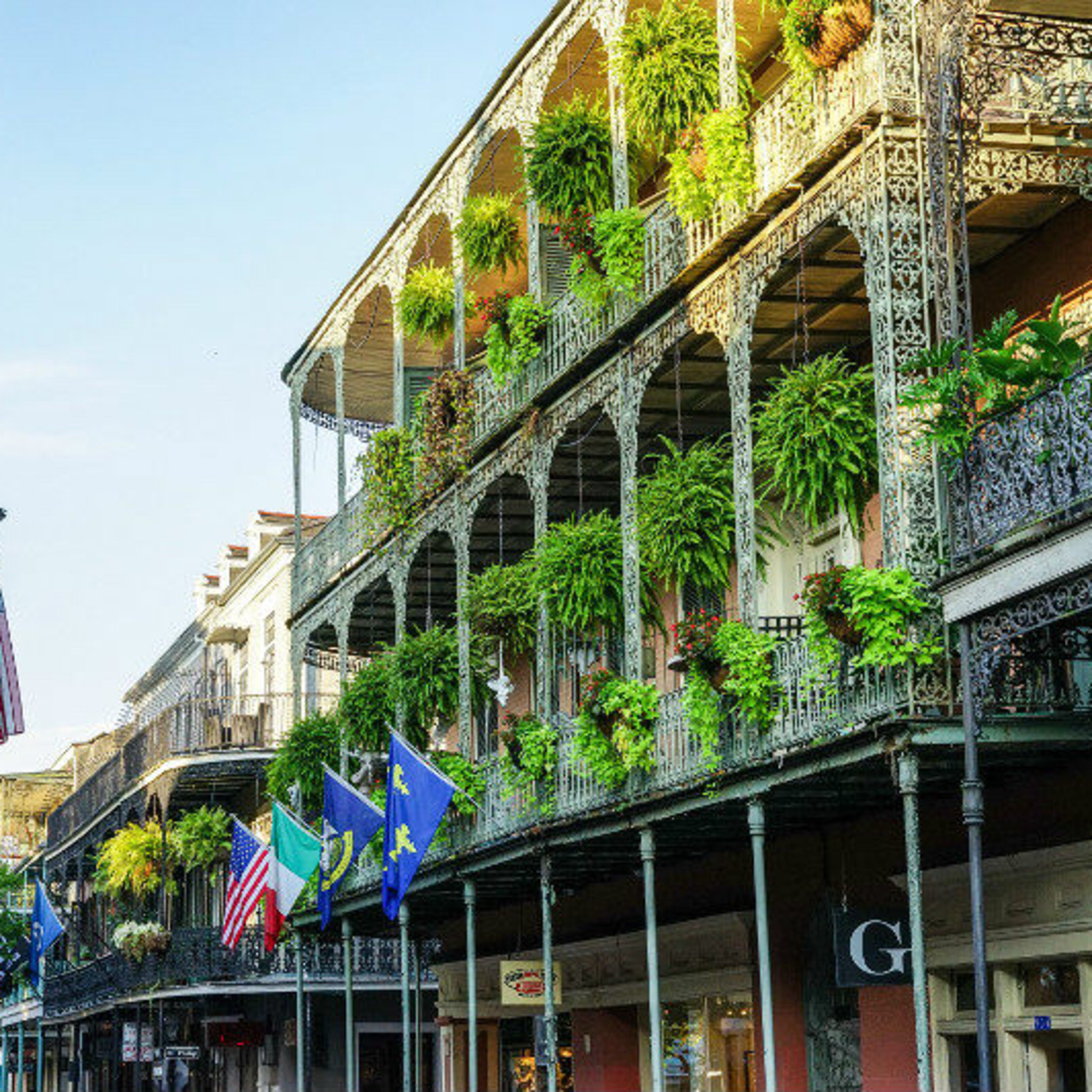 I Know This Place - New Orleans with Liz Williams