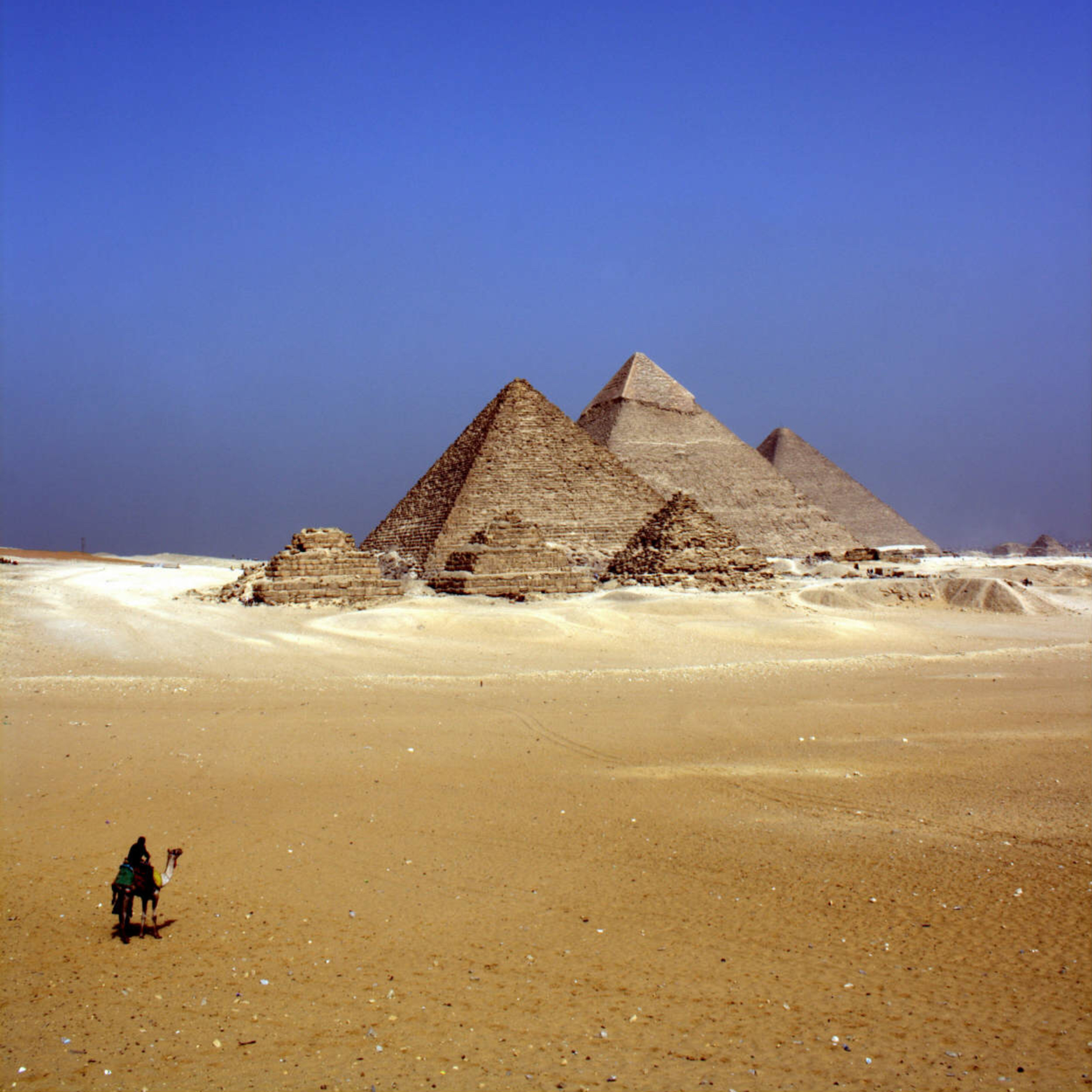 I Know This Place - Ancient Egypt with Dr Kara Cooney