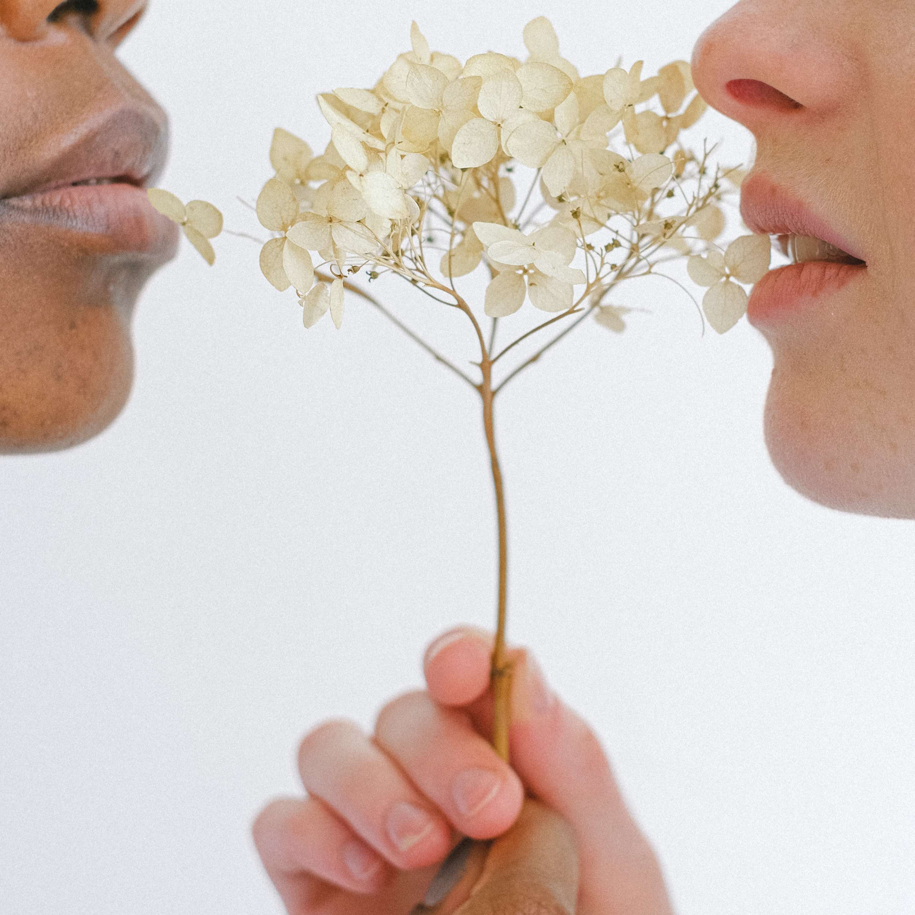 Fortuna Living Spirit