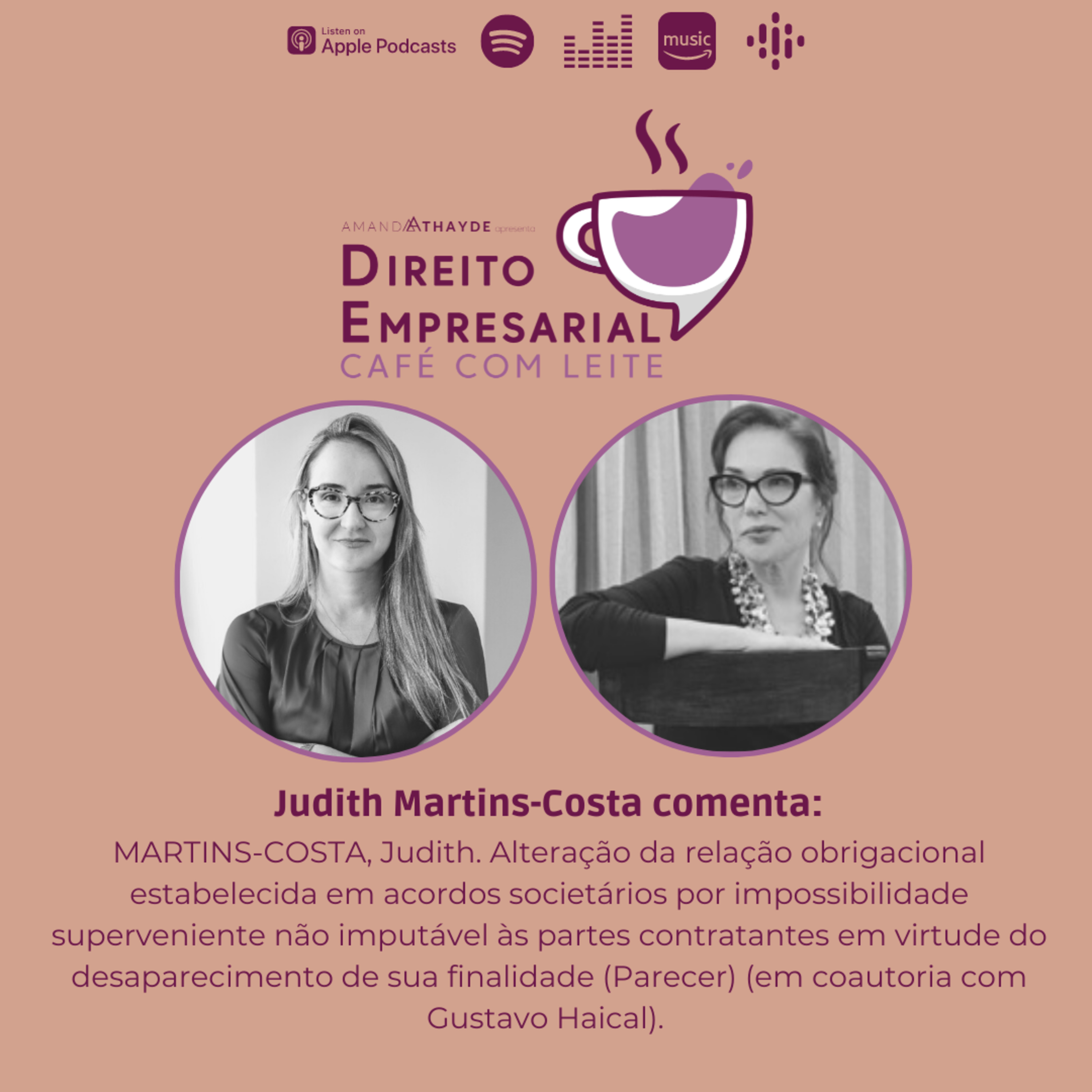 #EP 36: MARTINS-COSTA, Judith. Alteração da relação obrigacional estabelecida em acordos societários por impossibilidade superveniente não imputável às partes contratantes em virtude do desapareciment episode artwork