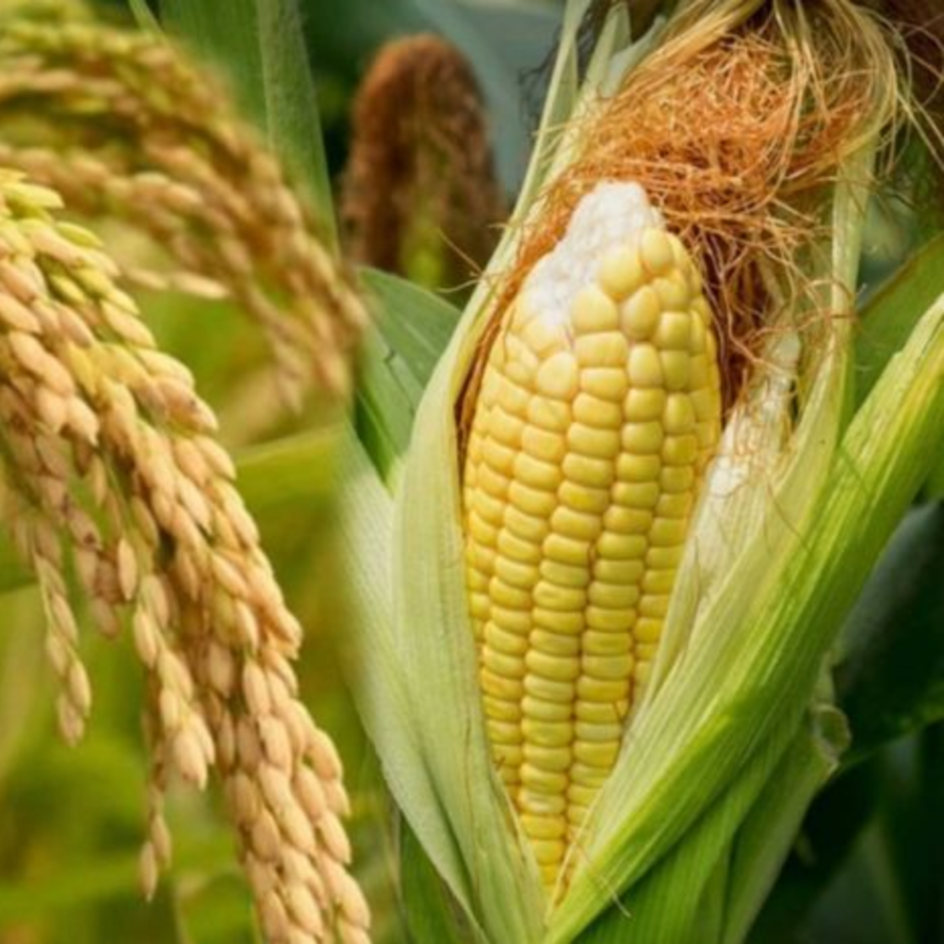 Mga Kwentong Pambata