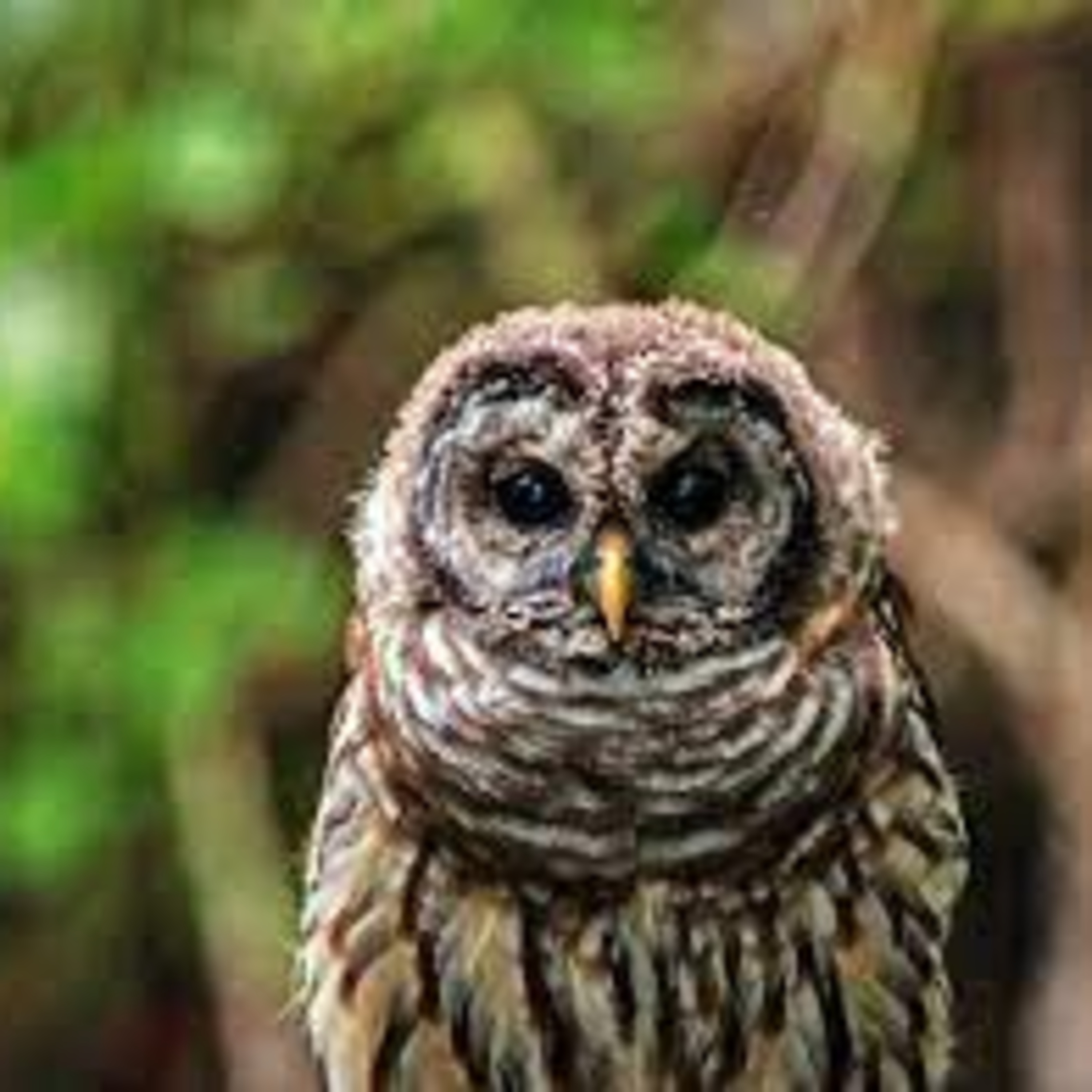 Mga Kwentong Pambata