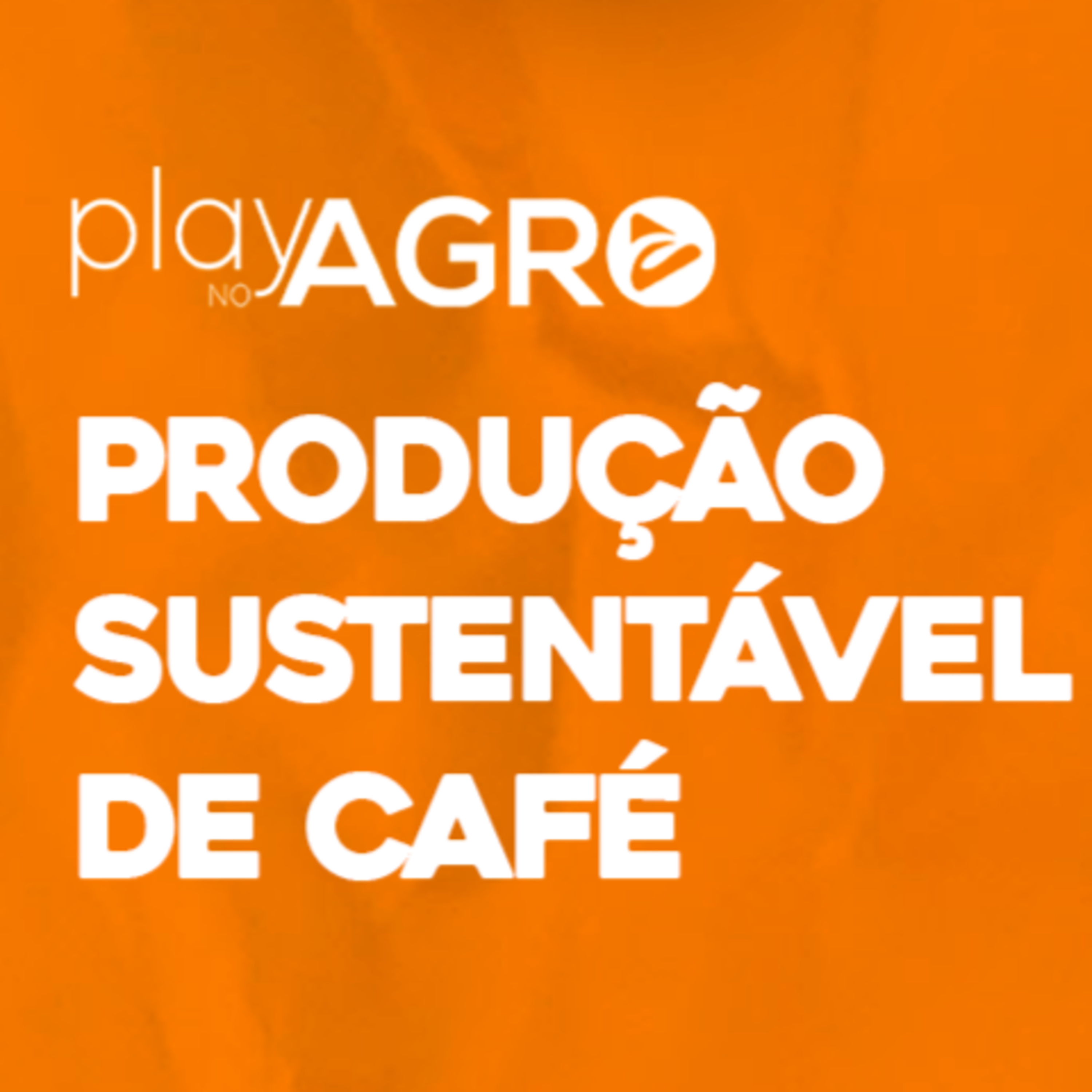 EP09 - PLAY NO AGRO - PRODUÇÃO SUSTENTÁVEL DE CAFÉ episode artwork