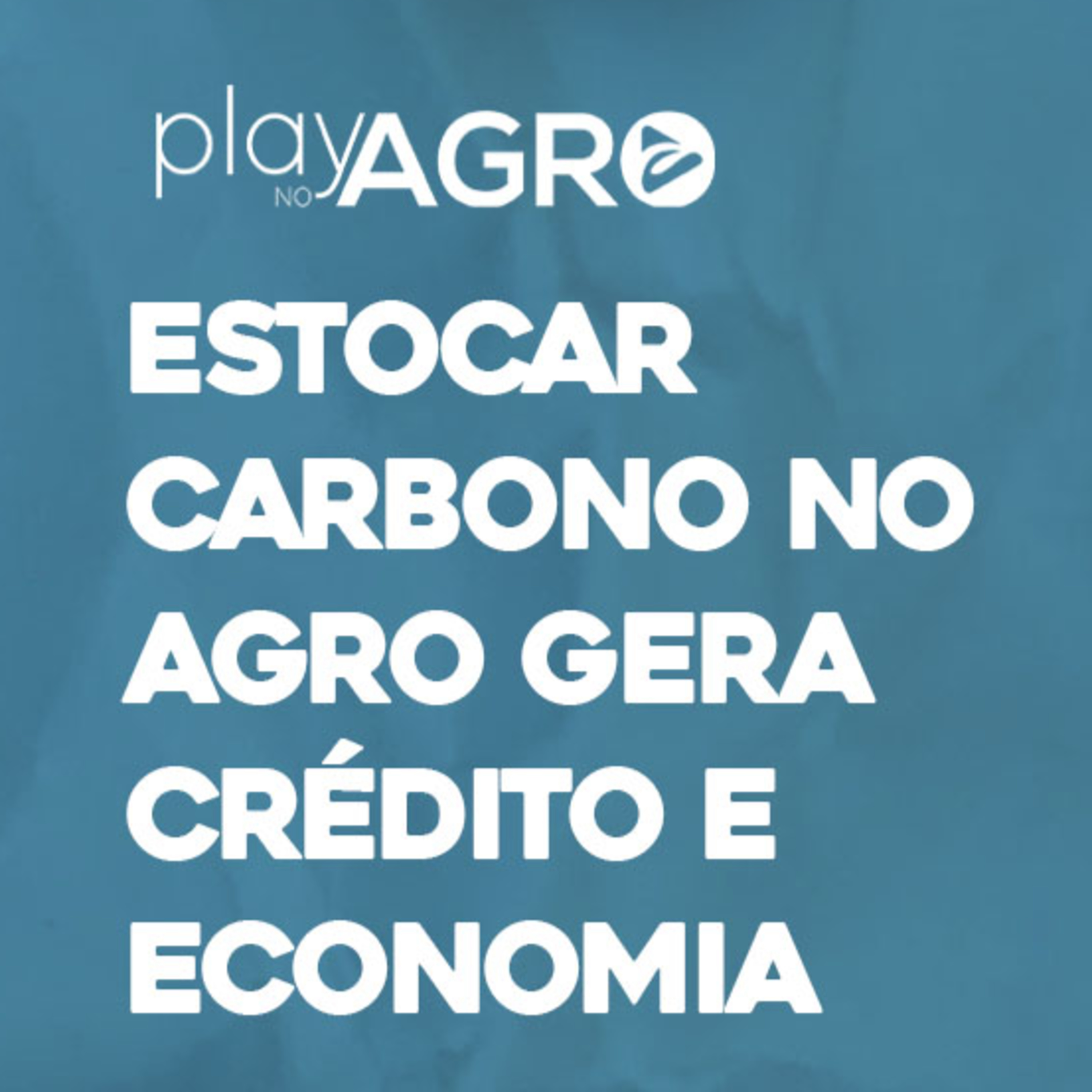 EP15 - ESTOCAR CARBONO NO AGRO GERA CRÉDITO E ECONOMIA episode artwork