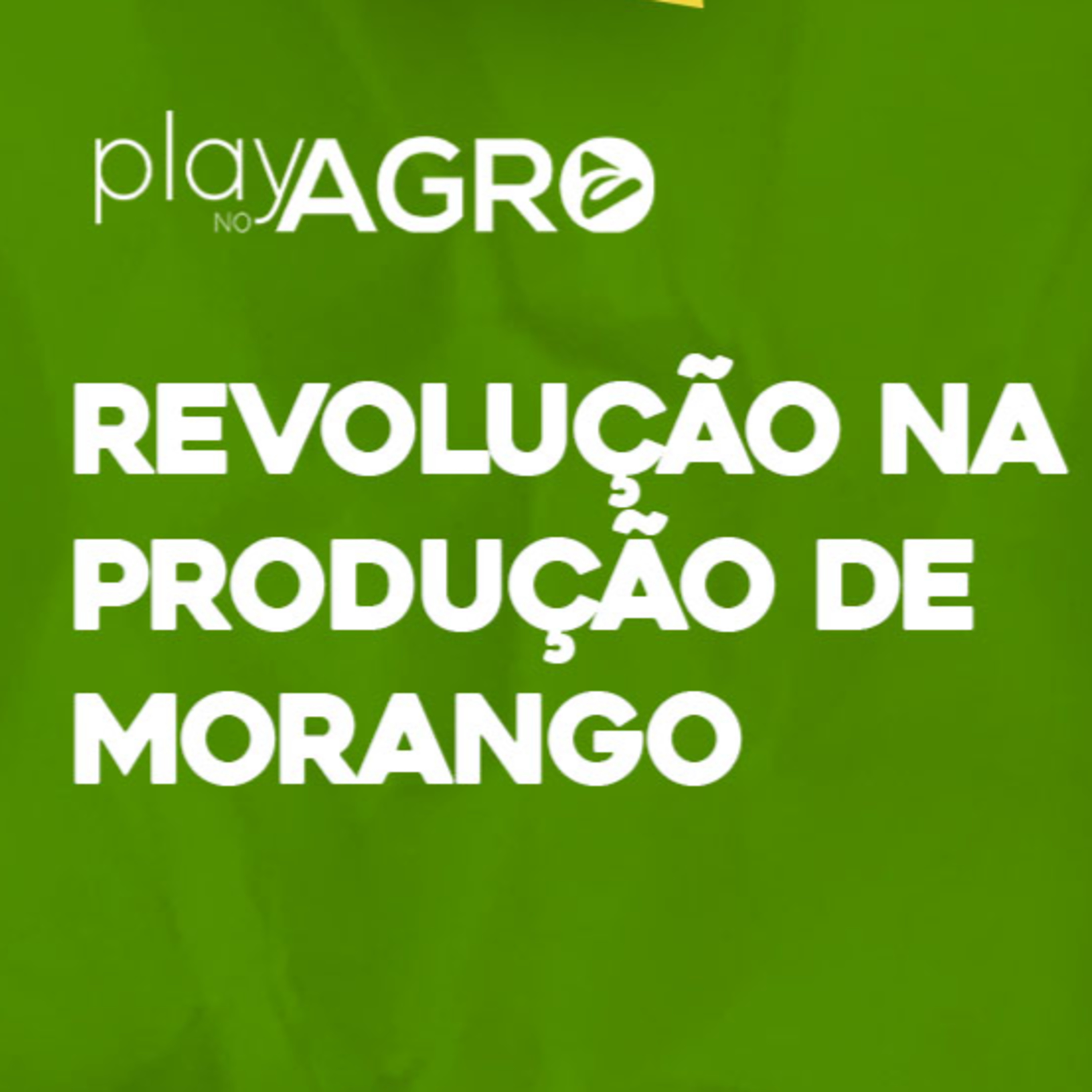 EP16 - REVOLUÇÃO NA PRODUÇÃO DE MORANGO episode artwork