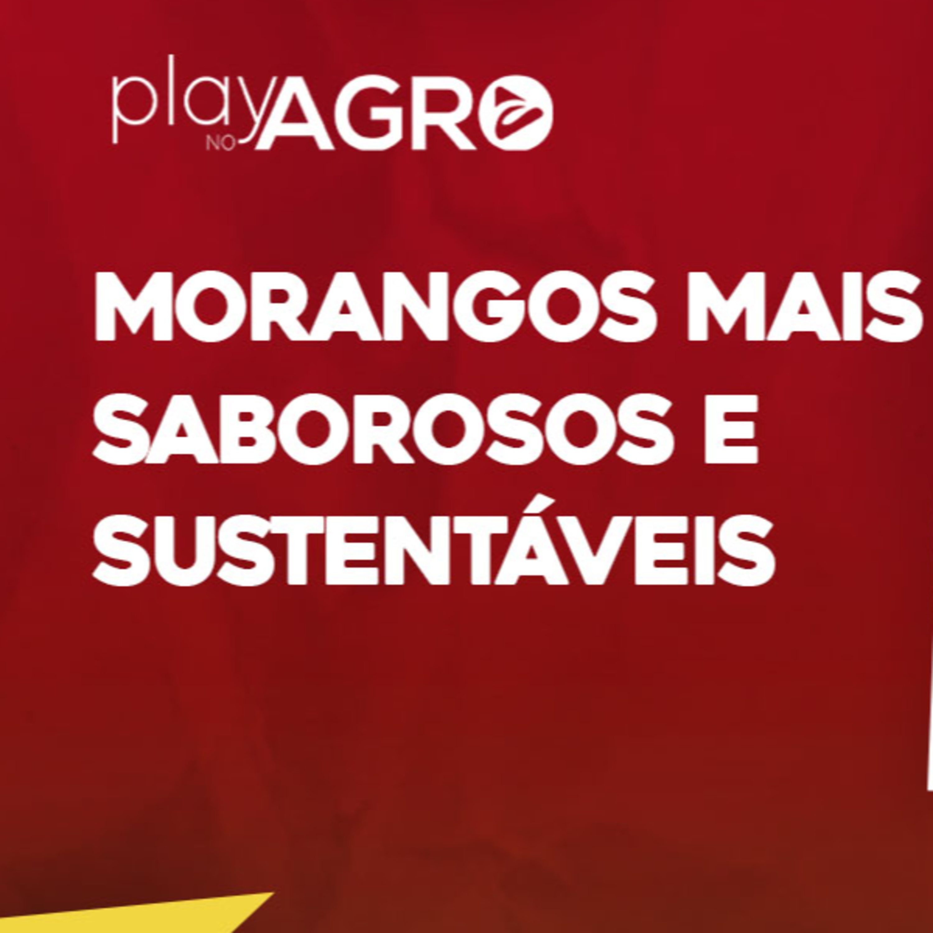 EP17 - MORANGOS MAIS SABOROSOS E SUSTENTÁVEIS episode artwork