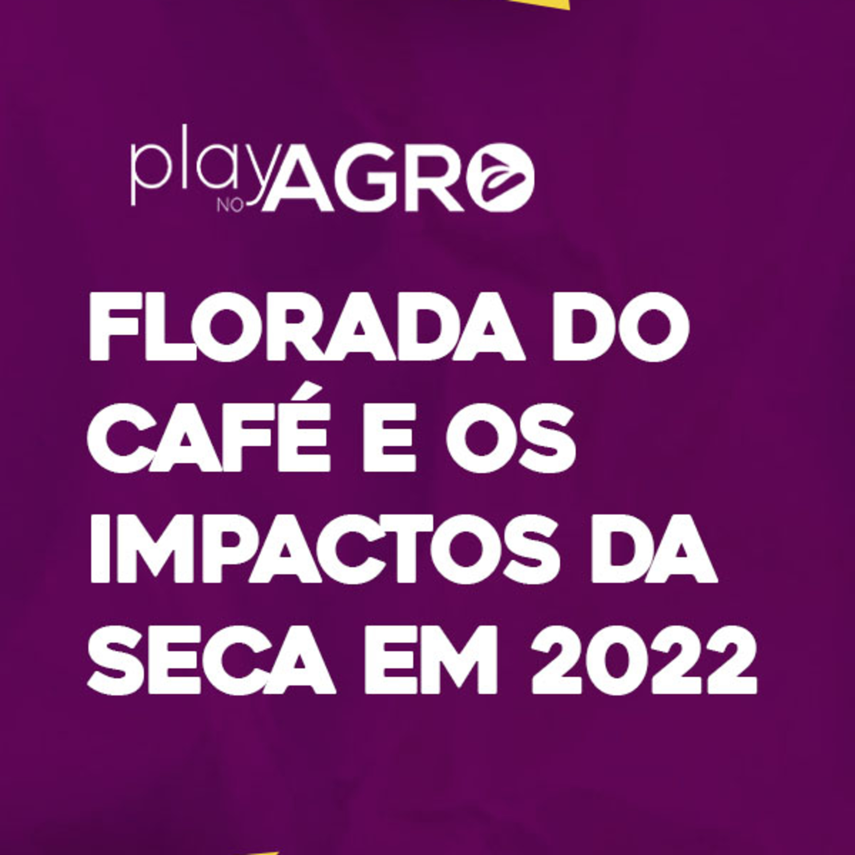 EP 19 - FLORADA: A IMAGEM DA ESPERANÇA NO CAMPO episode artwork