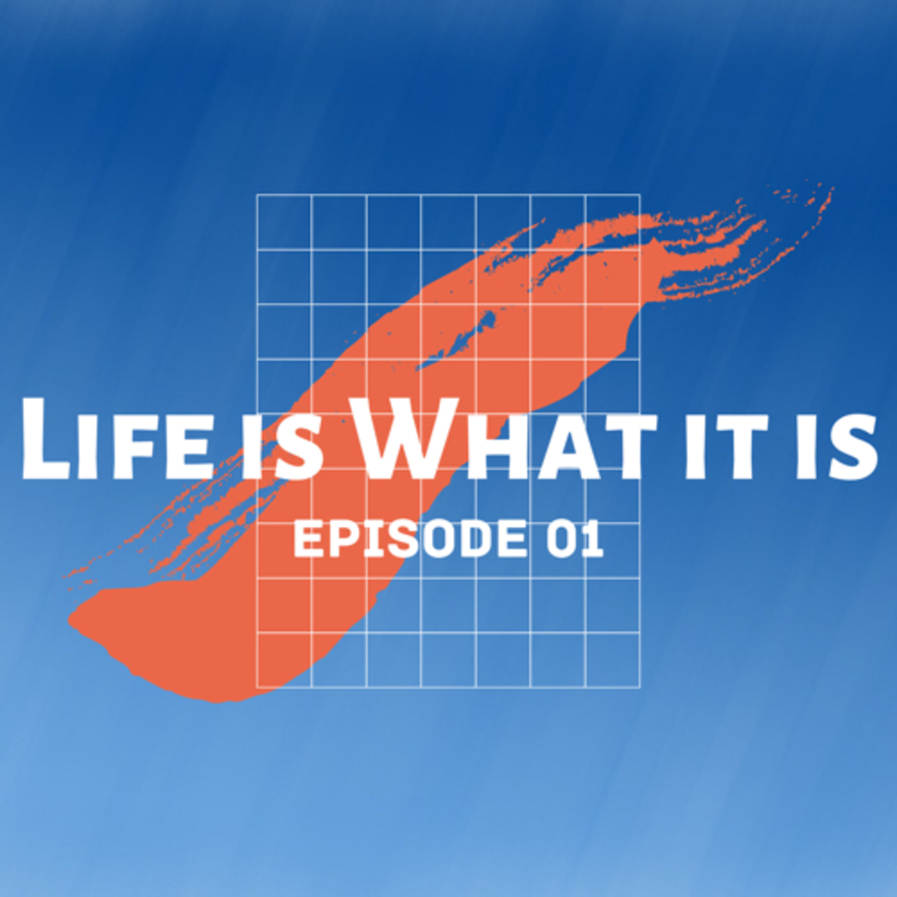 Episode 1 episode artwork