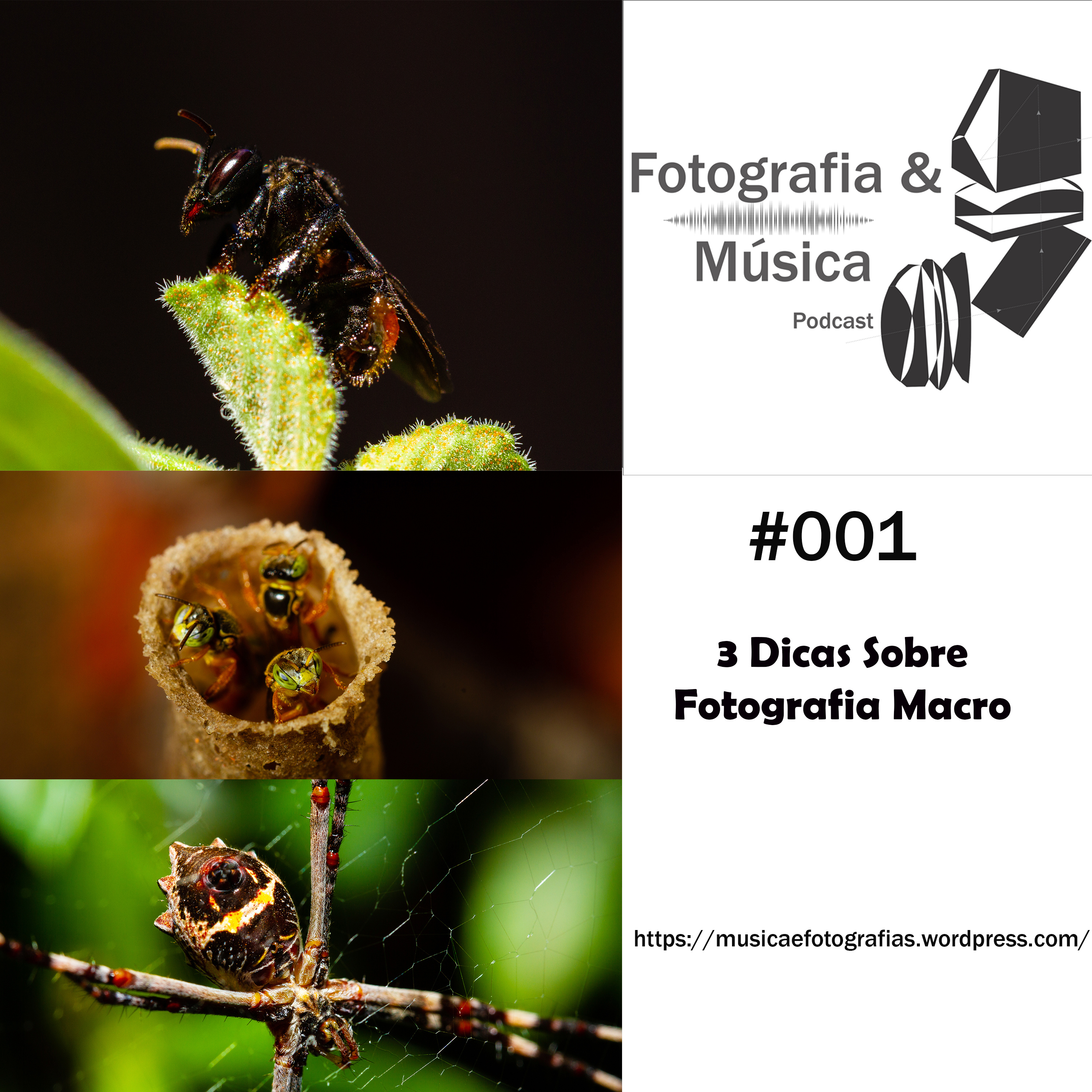 Fotografia e Música