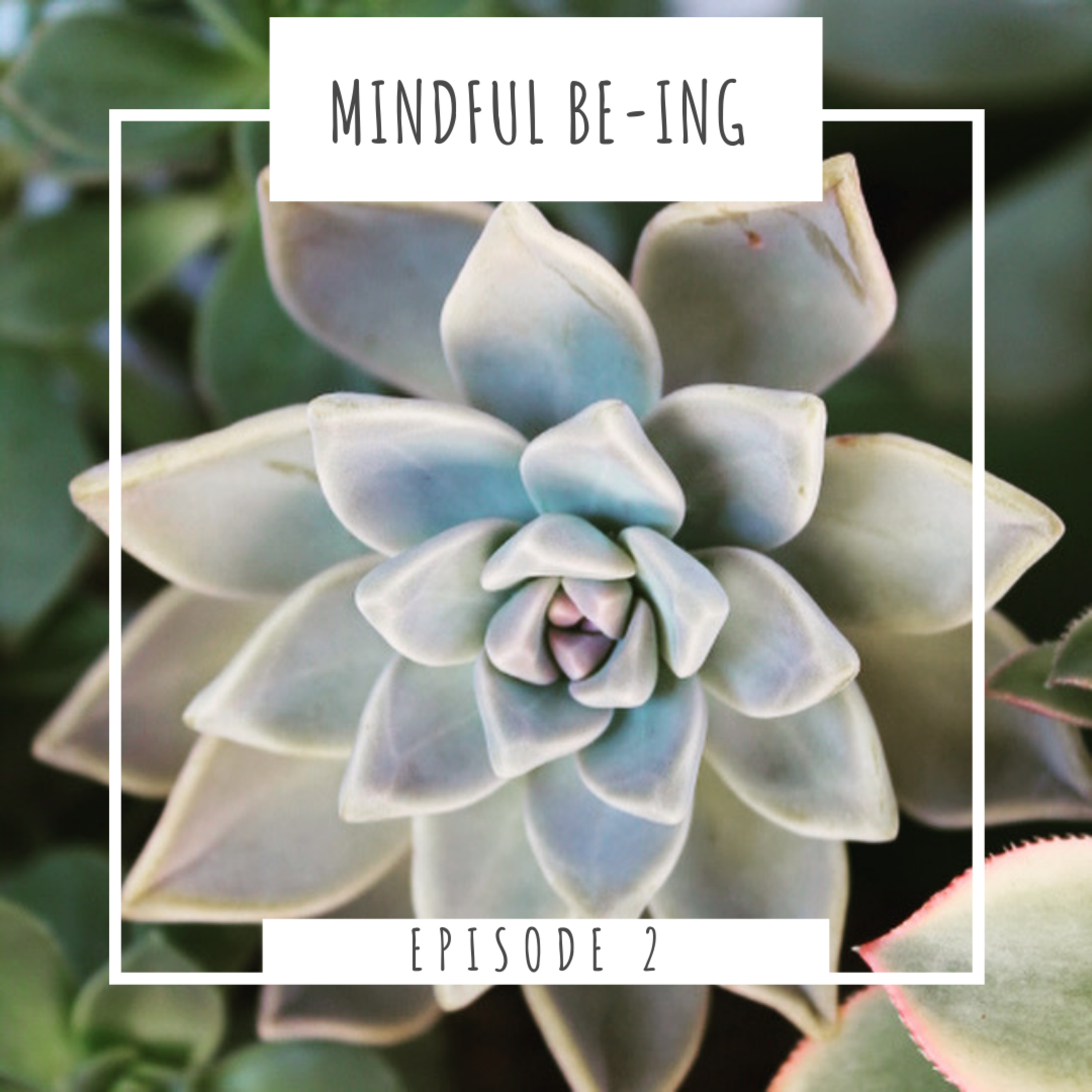 Mindful Be-ing