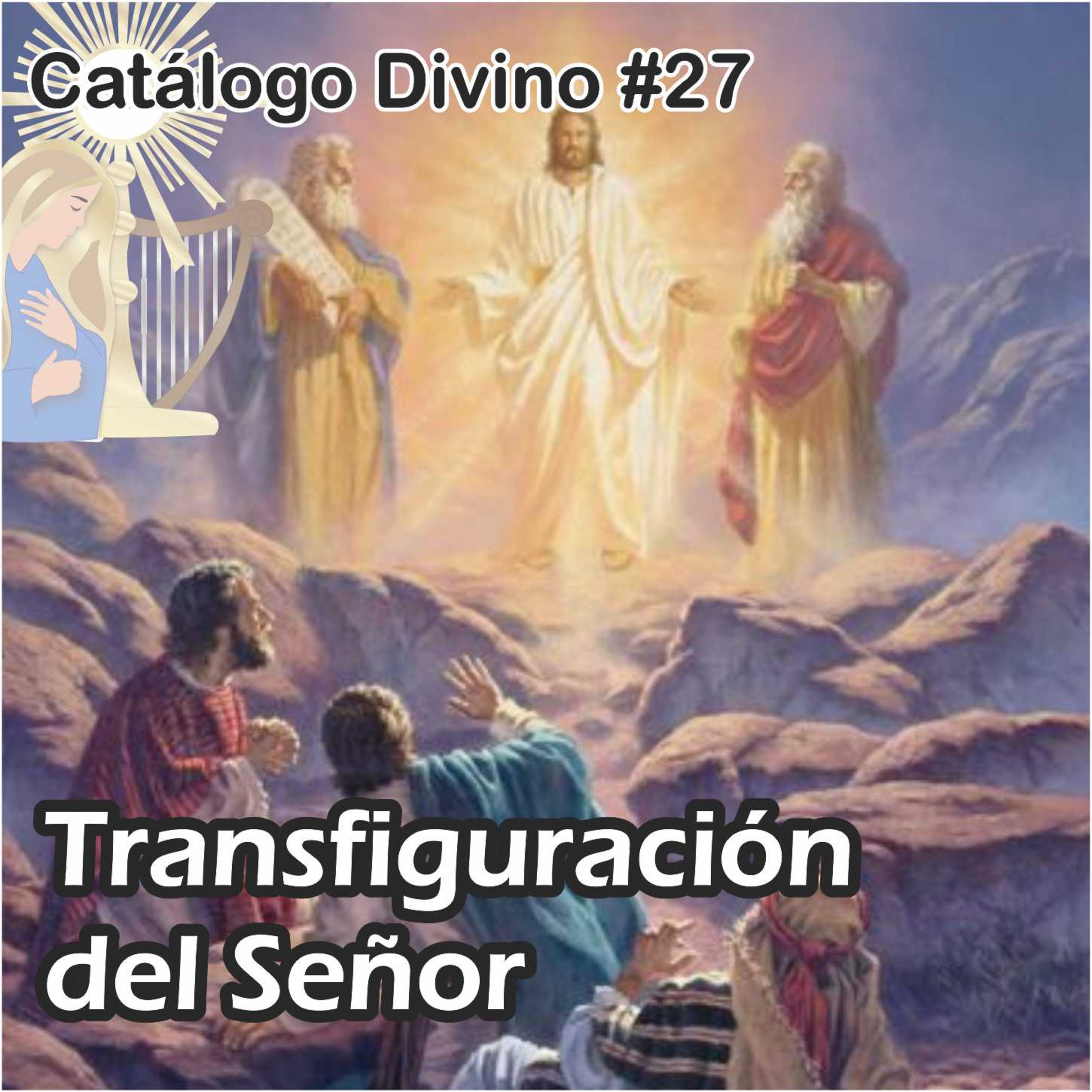 Catálogo divino - la vida de los santos 🙏🏼