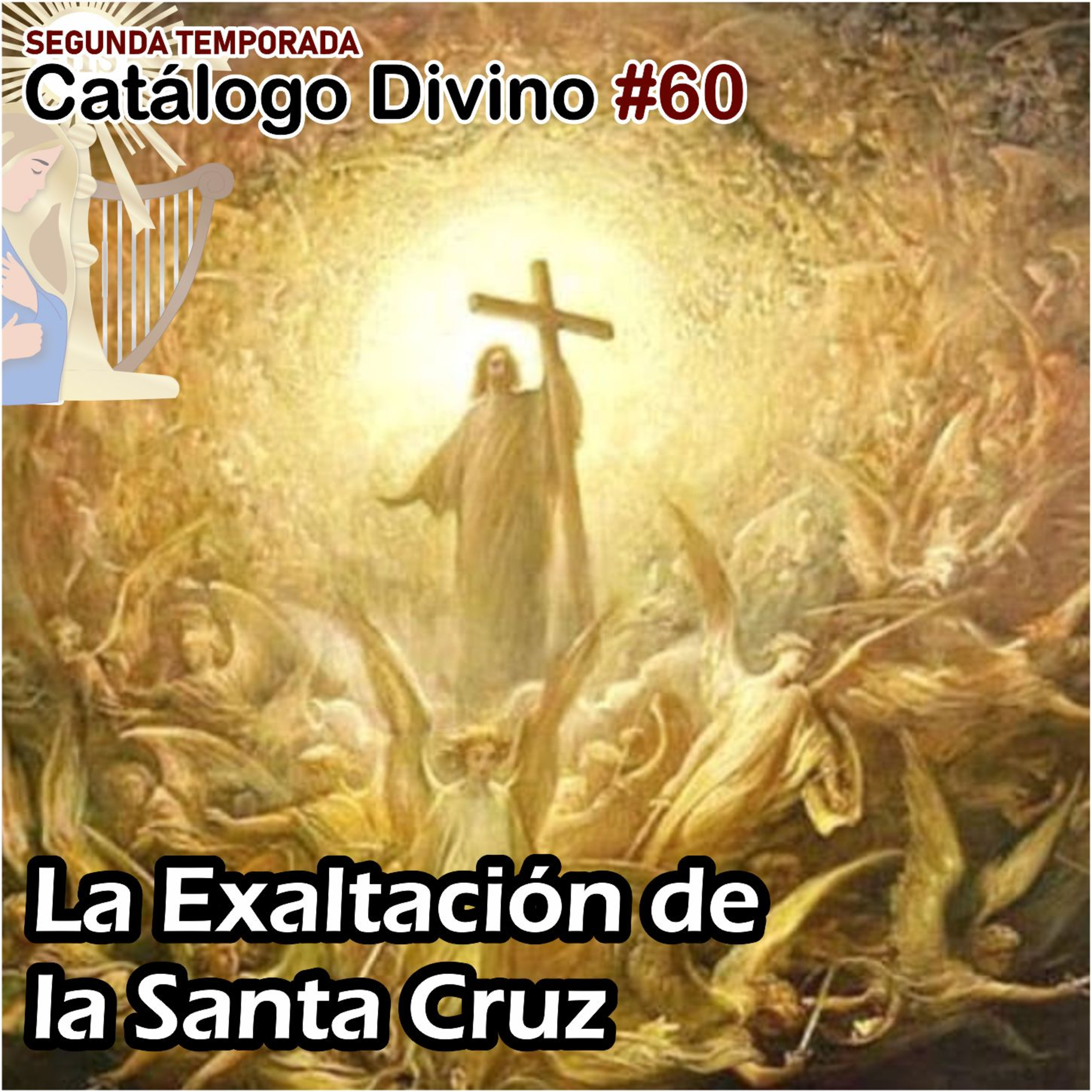 Catálogo divino - la vida de los santos 🙏🏼