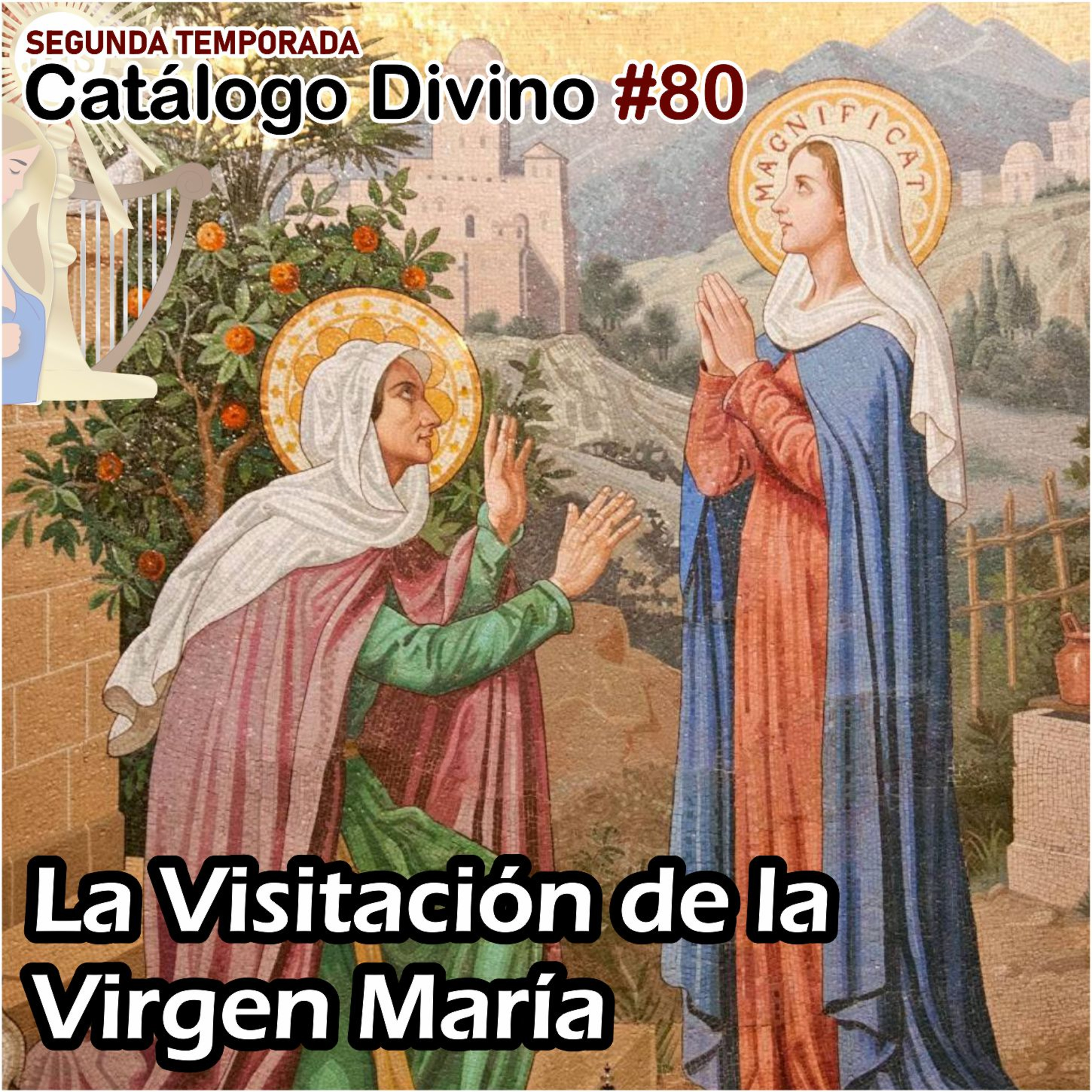 Catálogo divino - la vida de los santos 🙏🏼