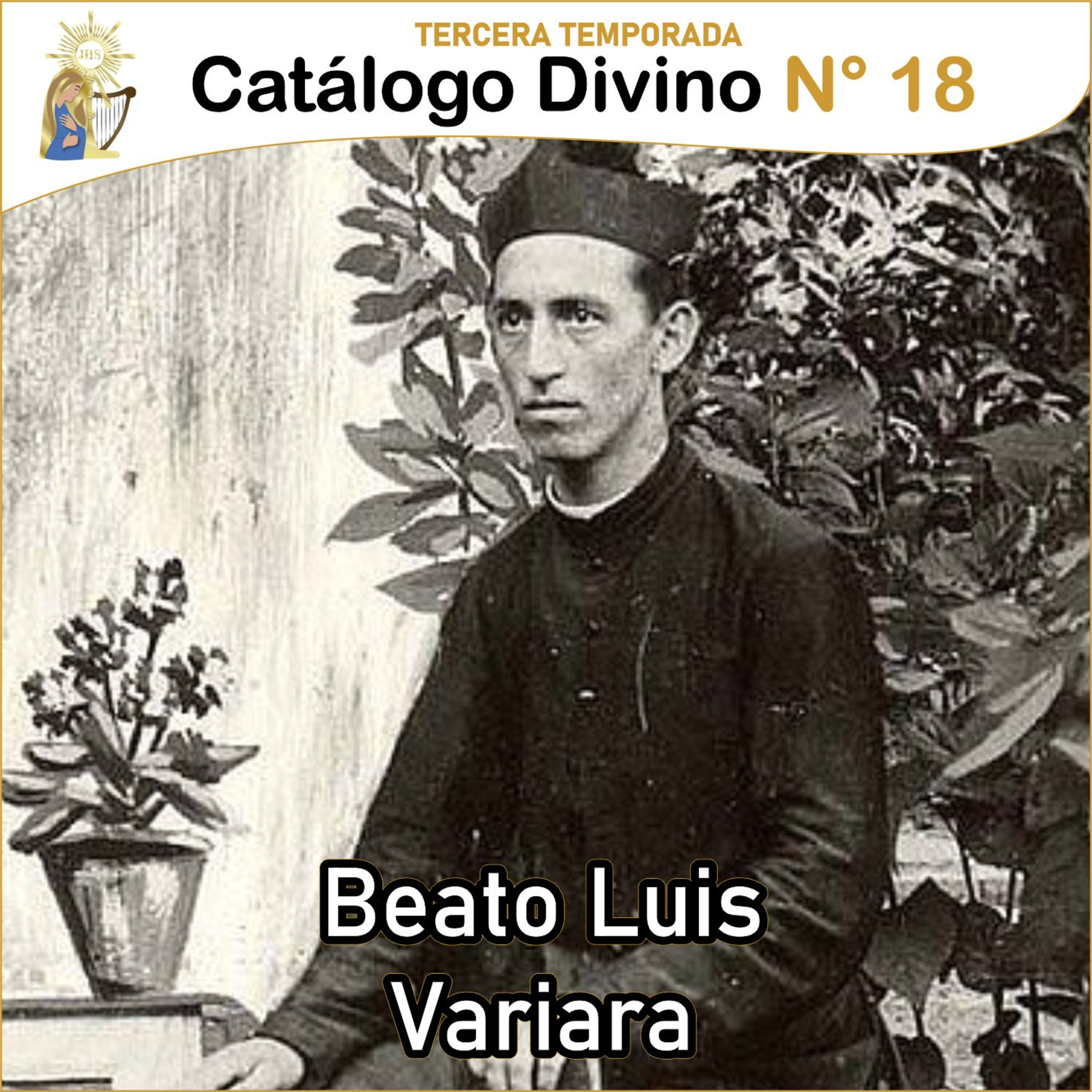 Catálogo divino - la vida de los santos 🙏🏼