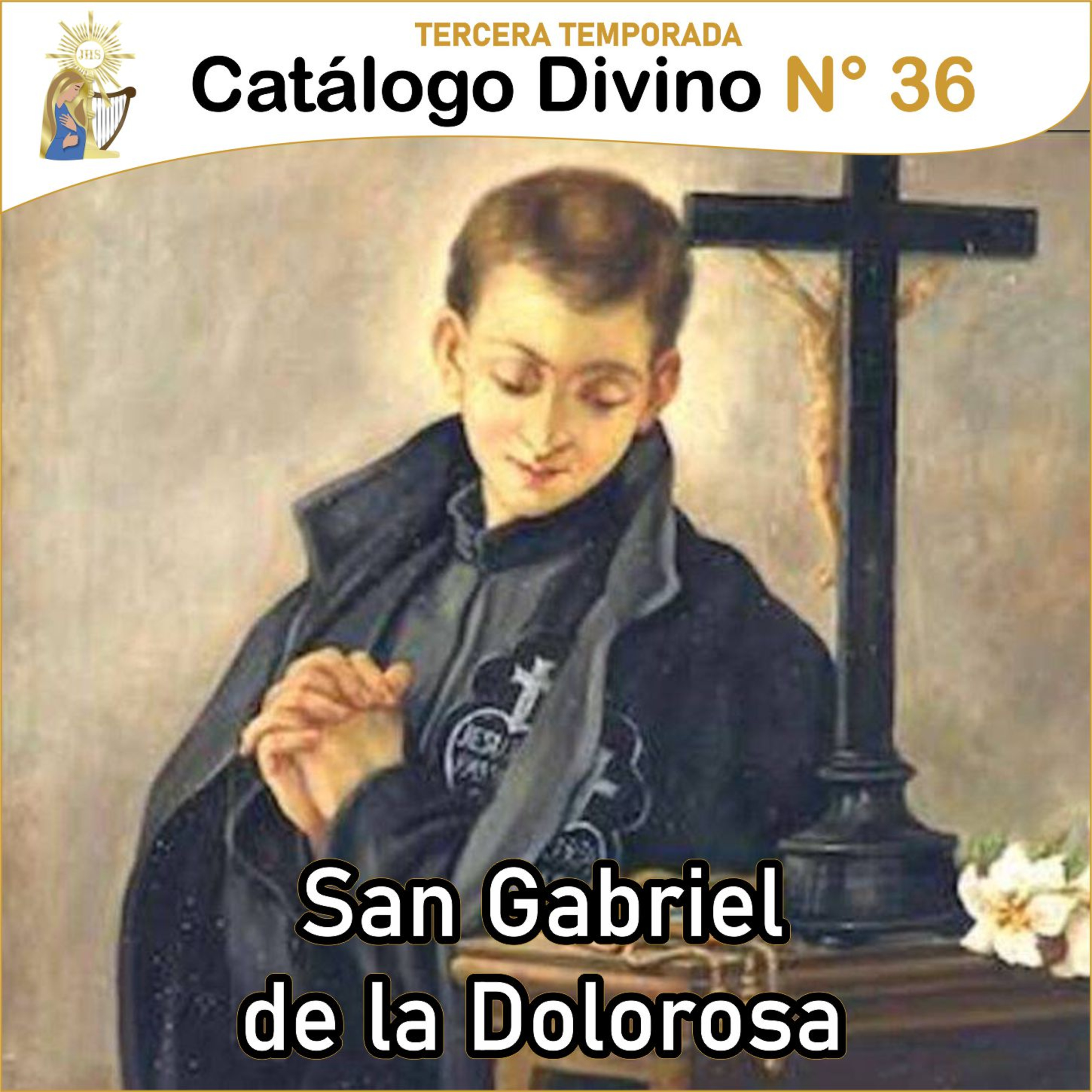 Catálogo divino - la vida de los santos 🙏🏼