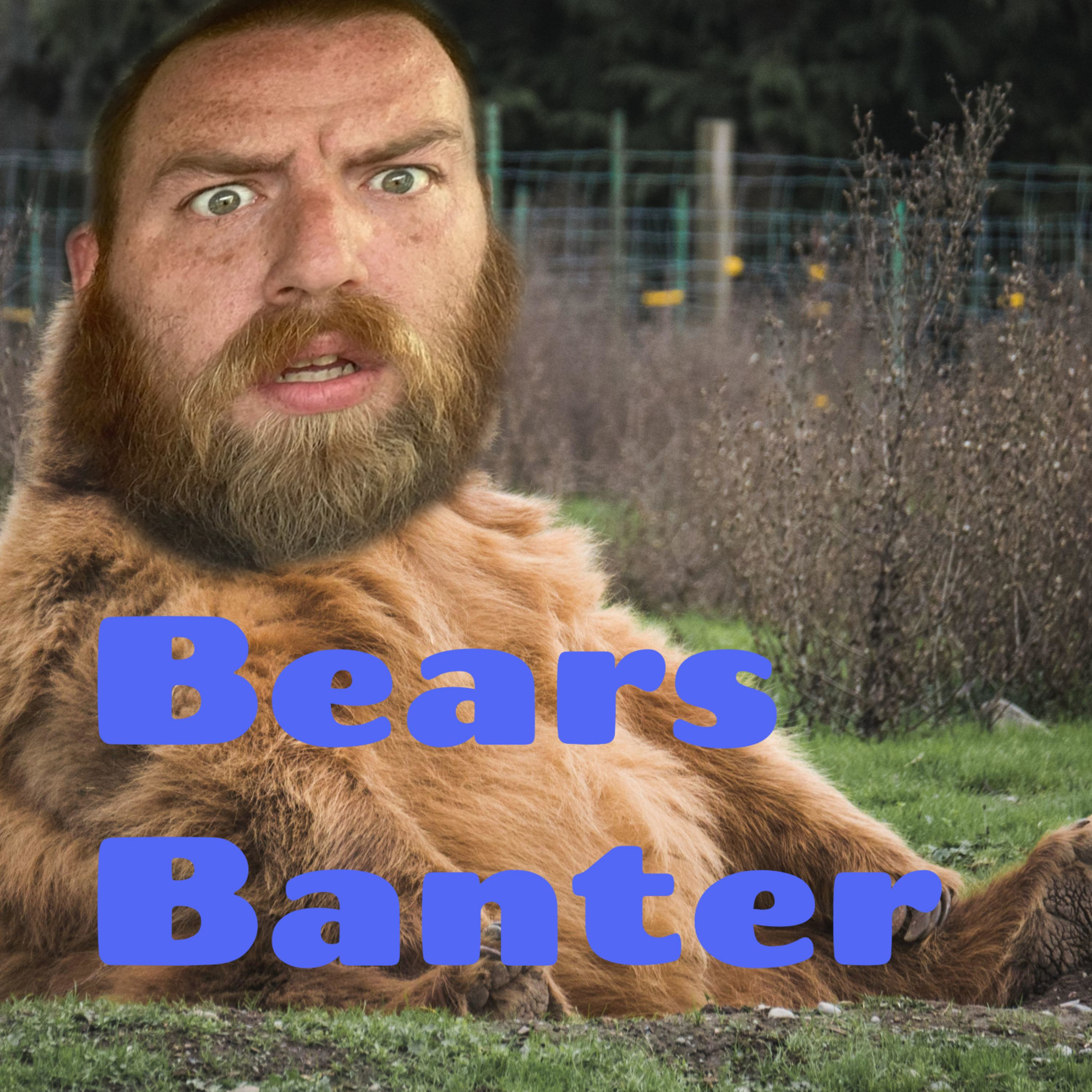 The Bears Loose episode artwork