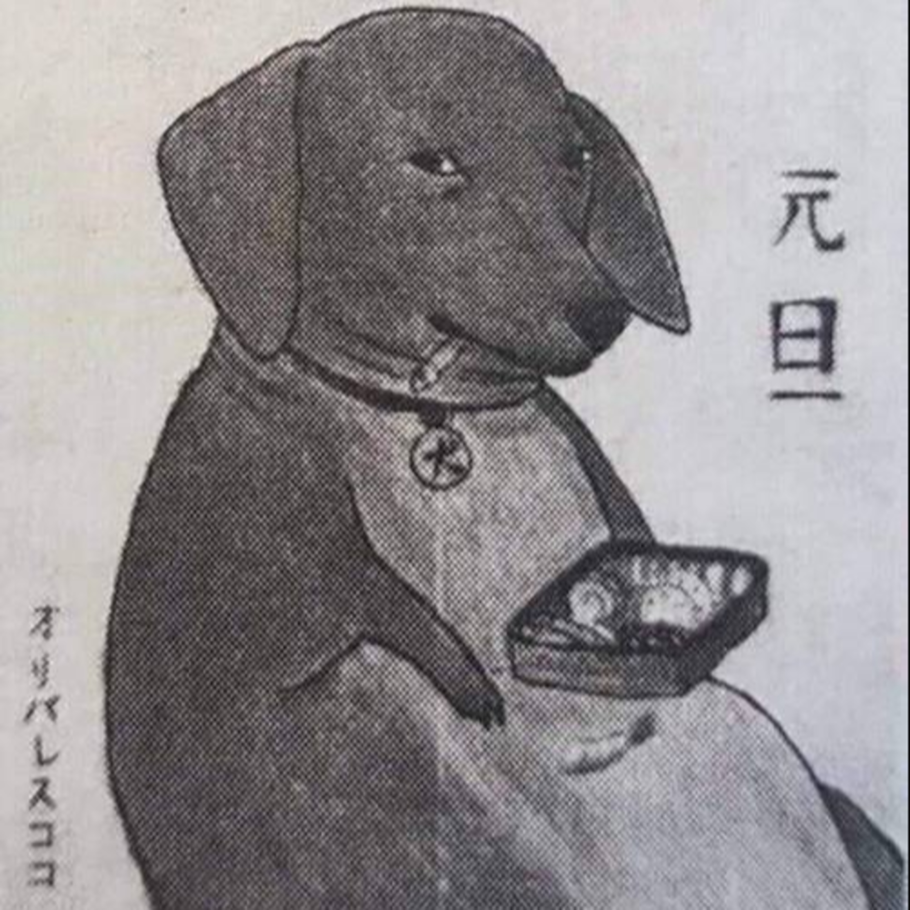 Unusual Company