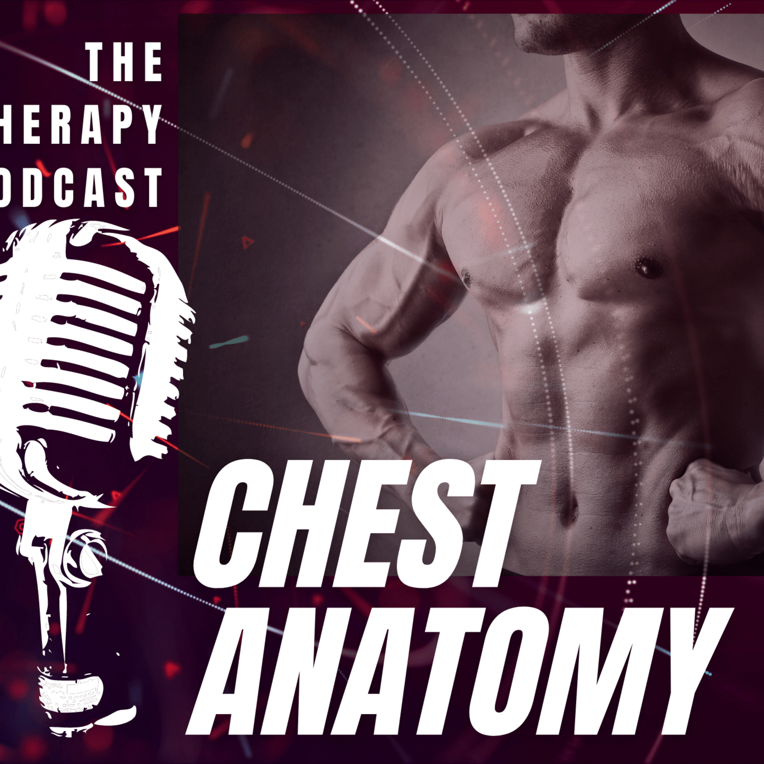 Фитнес анатомия на гърдите и корема │ BarbellTherapy Podcast EP.8 episode artwork