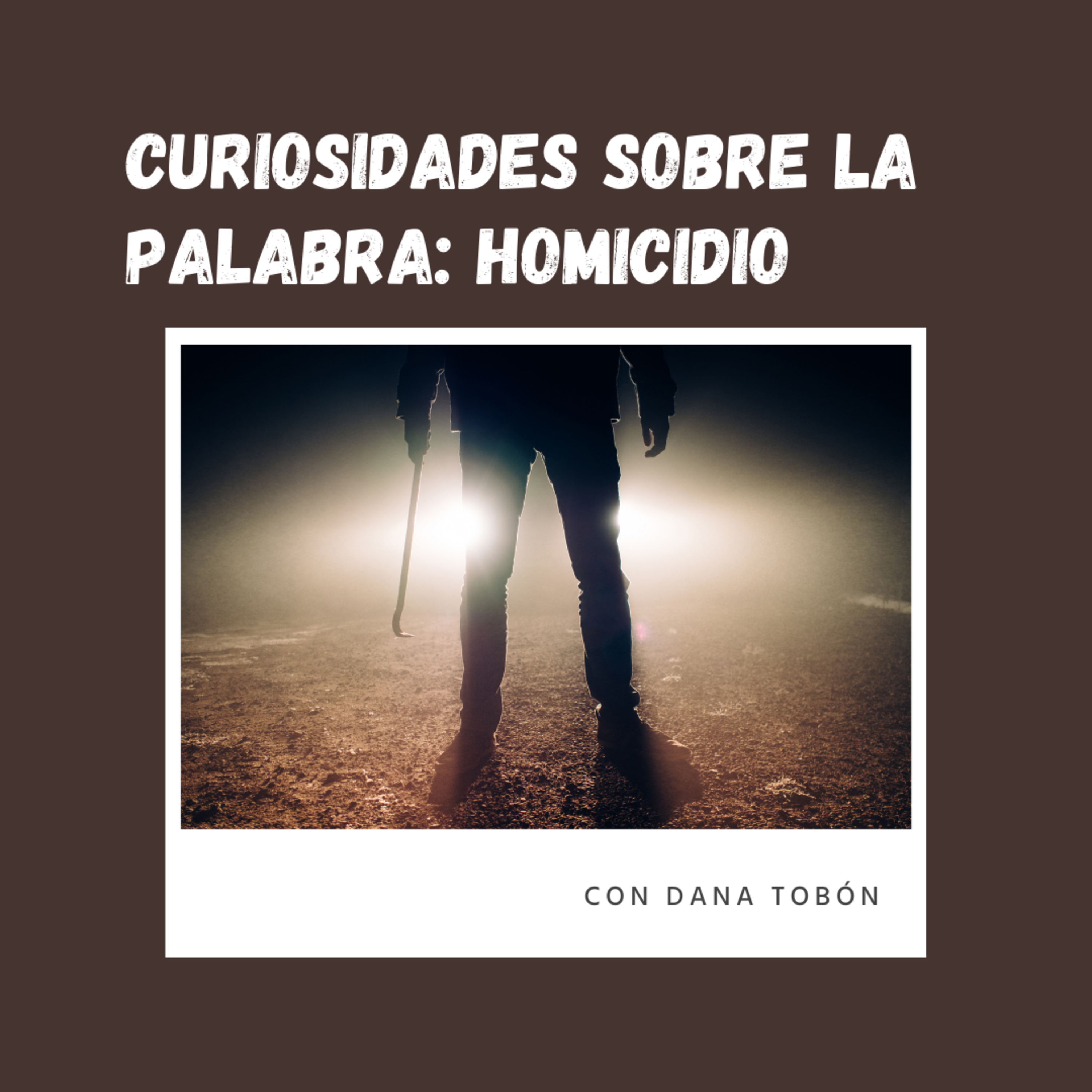 Catchy Cultura