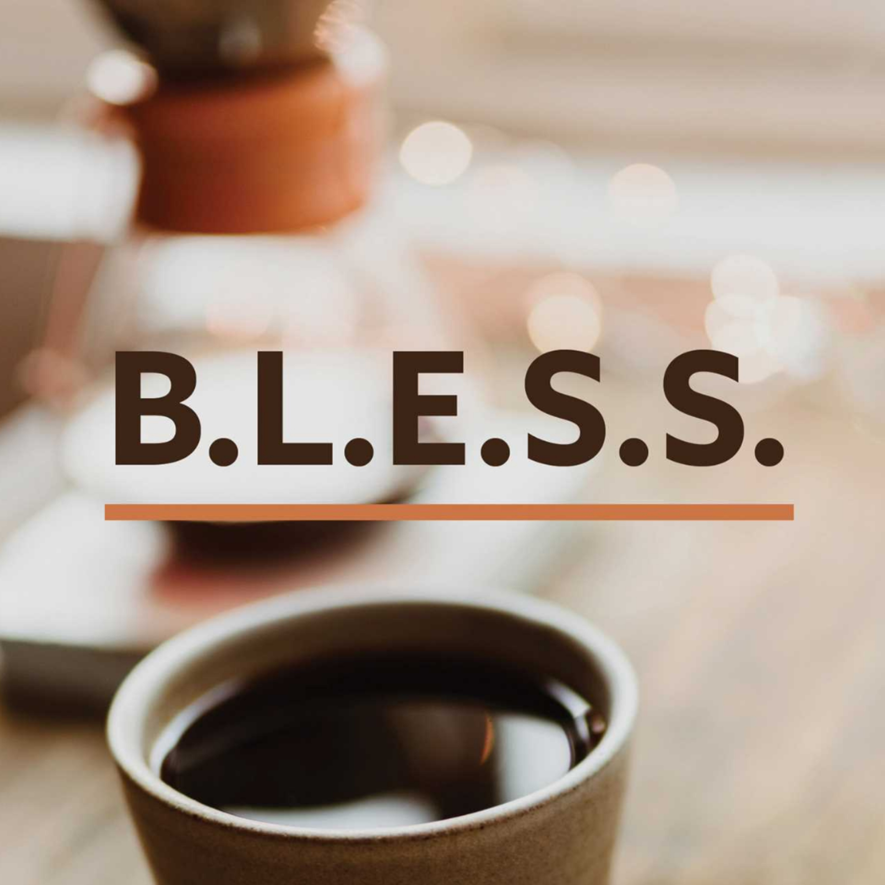  8 Total number of plays B.L.E.S.S. | 5 Everyday Ways to Love Your Neighbor and Change the World | Week 4 episode artwork