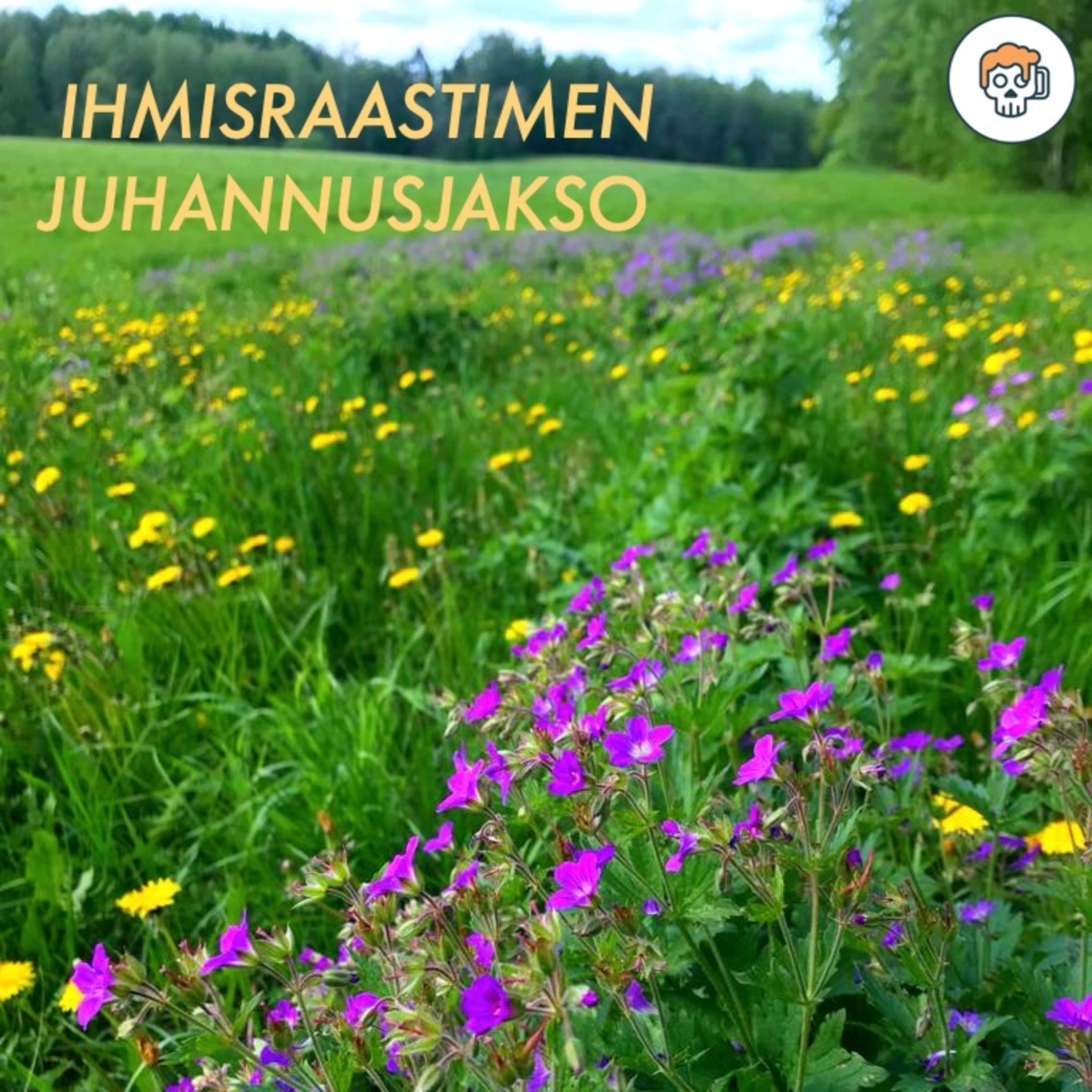 Ihmisraastin