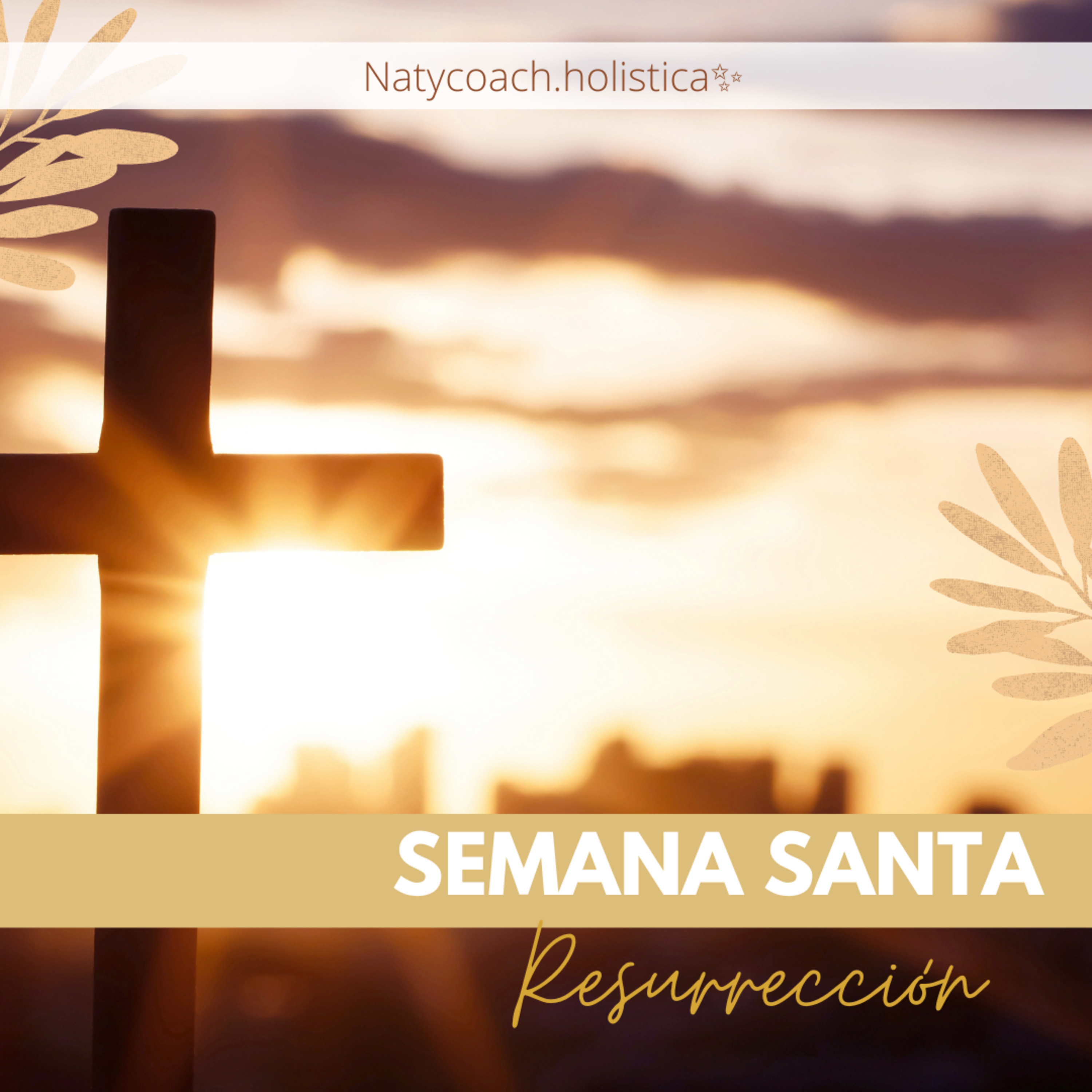 Portada de Conecta Cuerpo Y Emoción