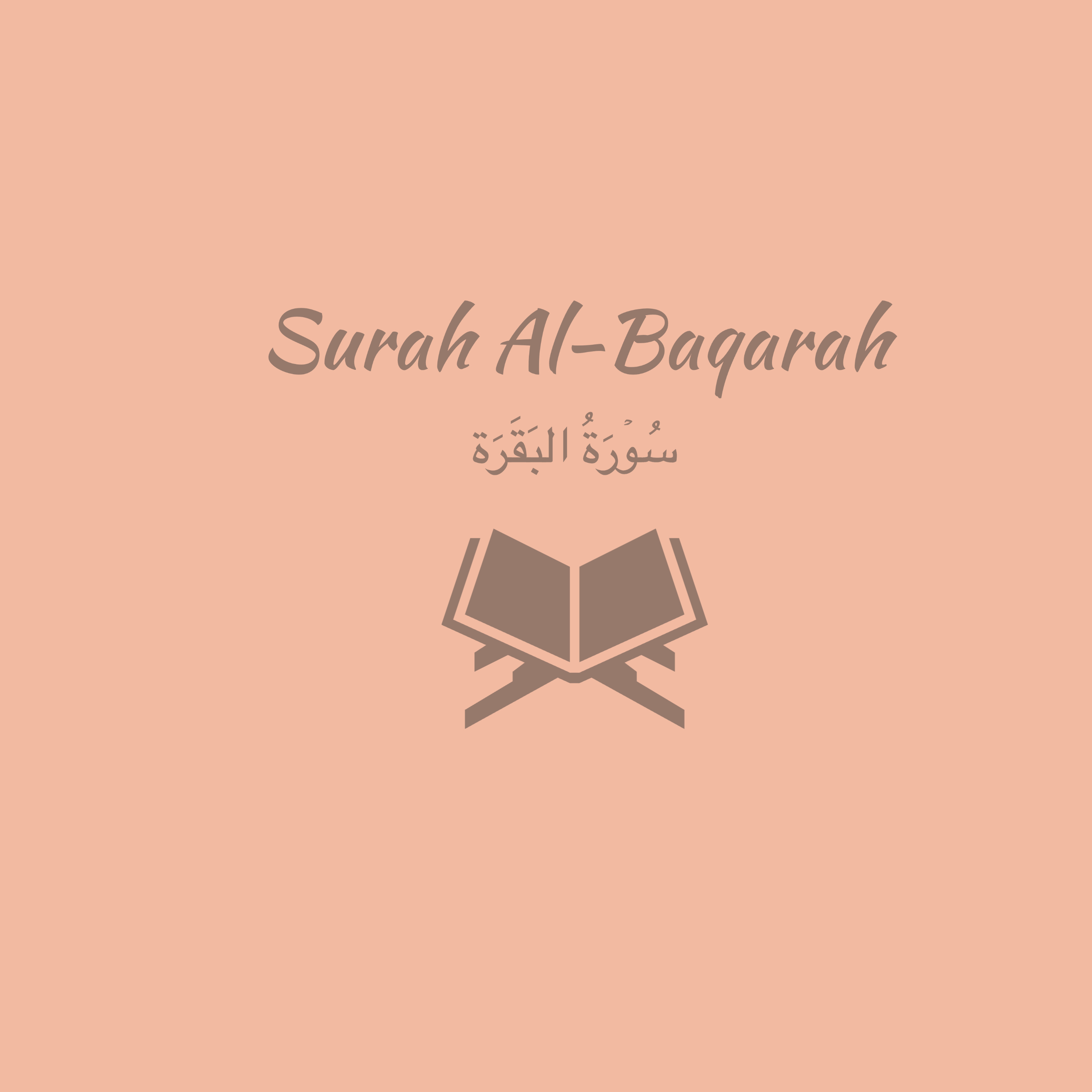 2: Surah Al-Baqarah: Muhammad Ayyub episode artwork