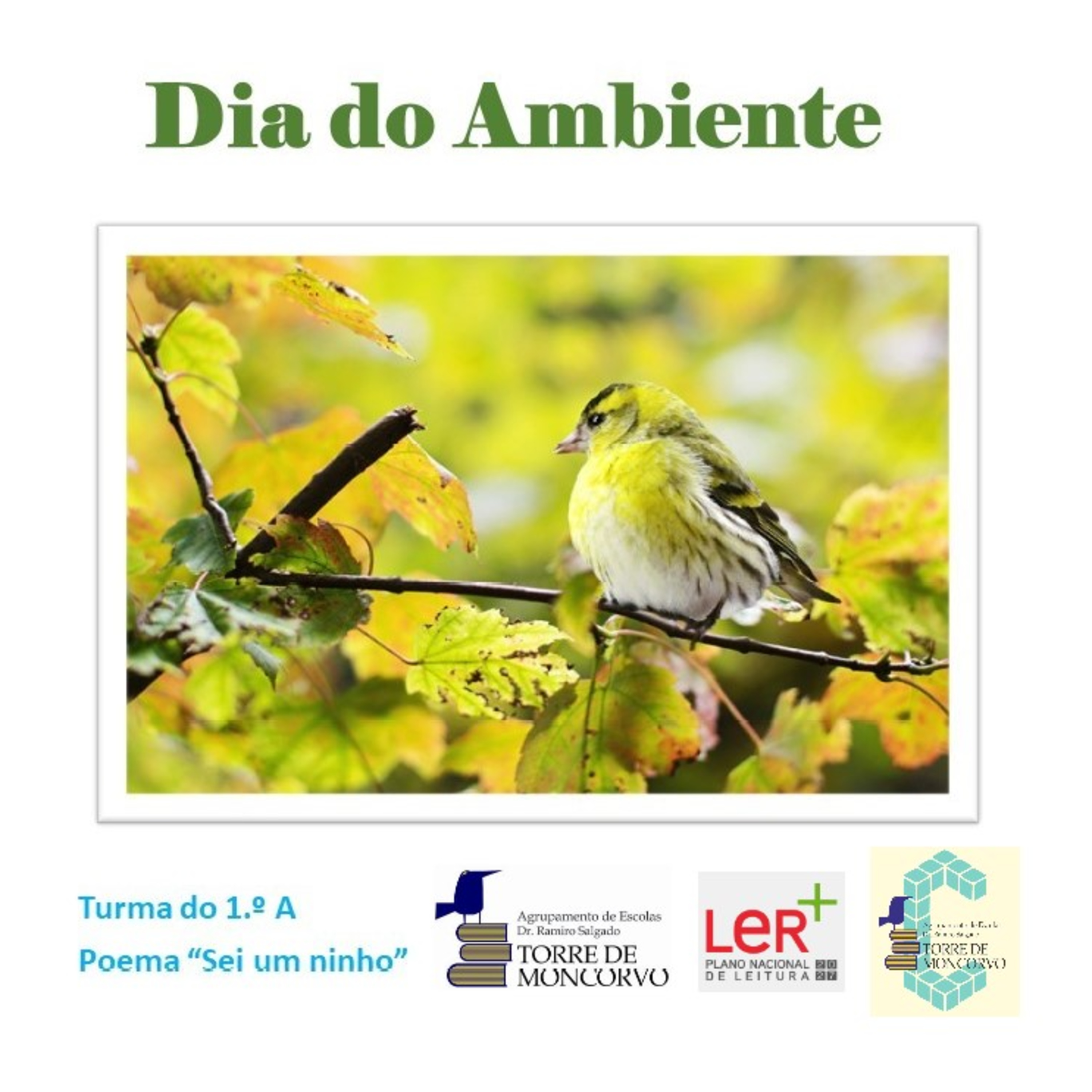 Leituras