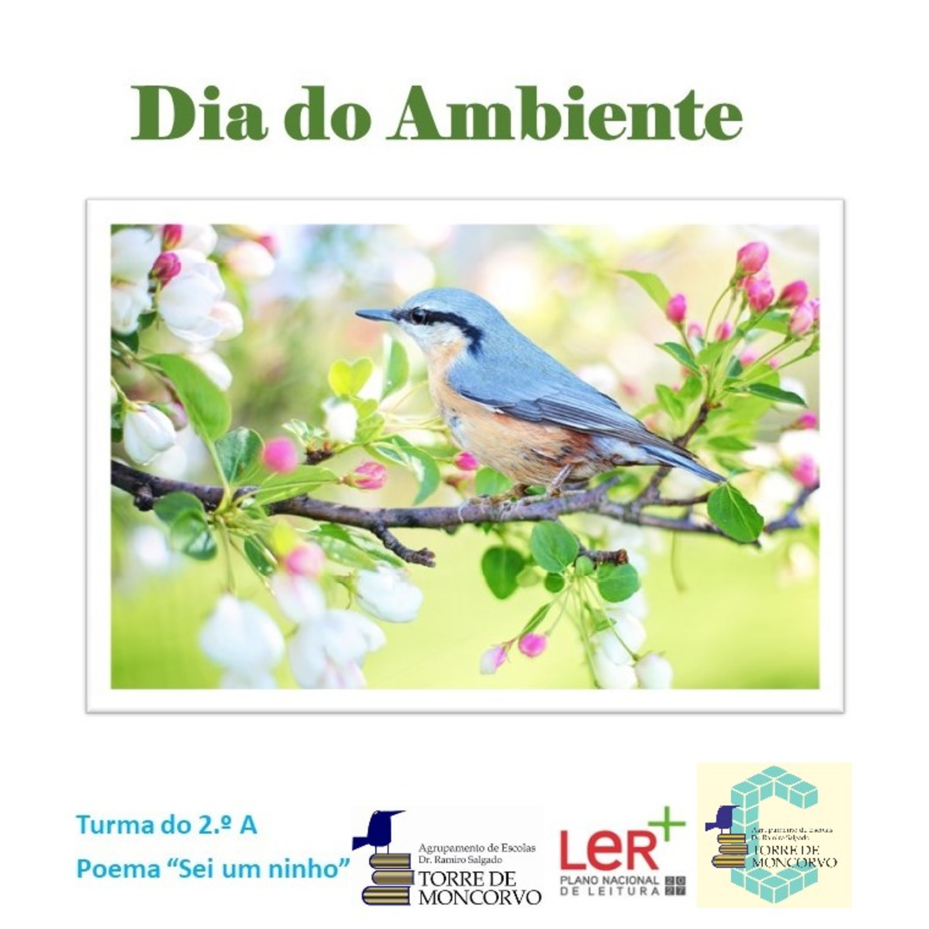 Leituras