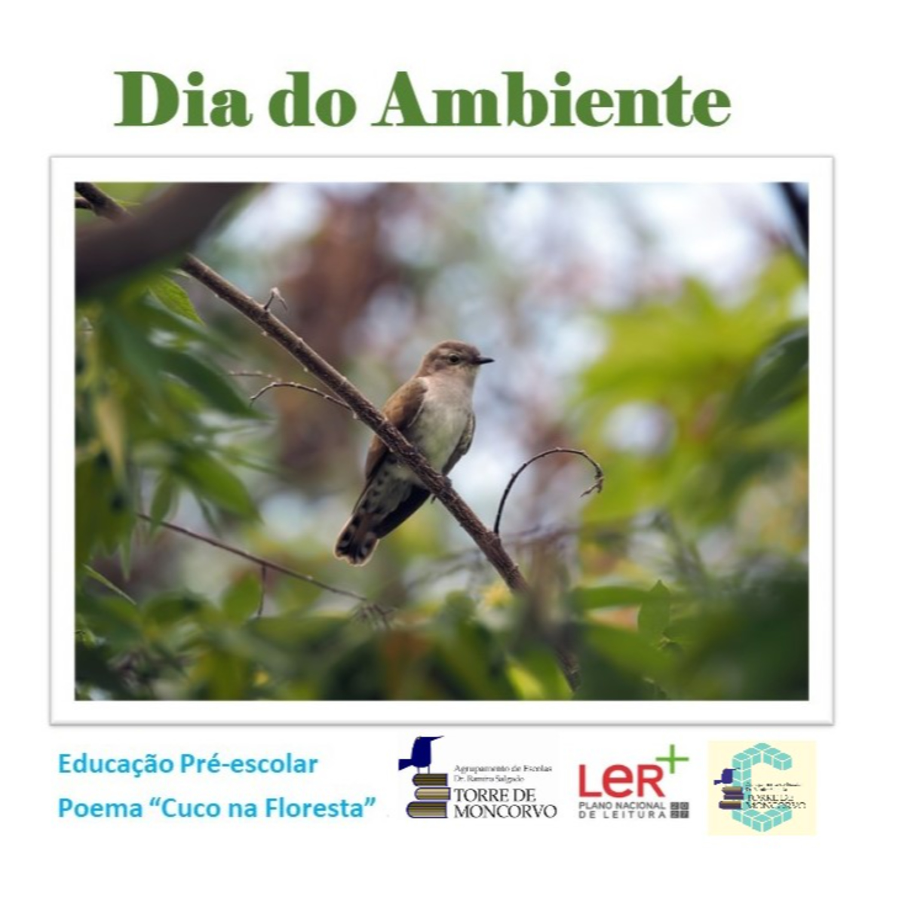 Leituras