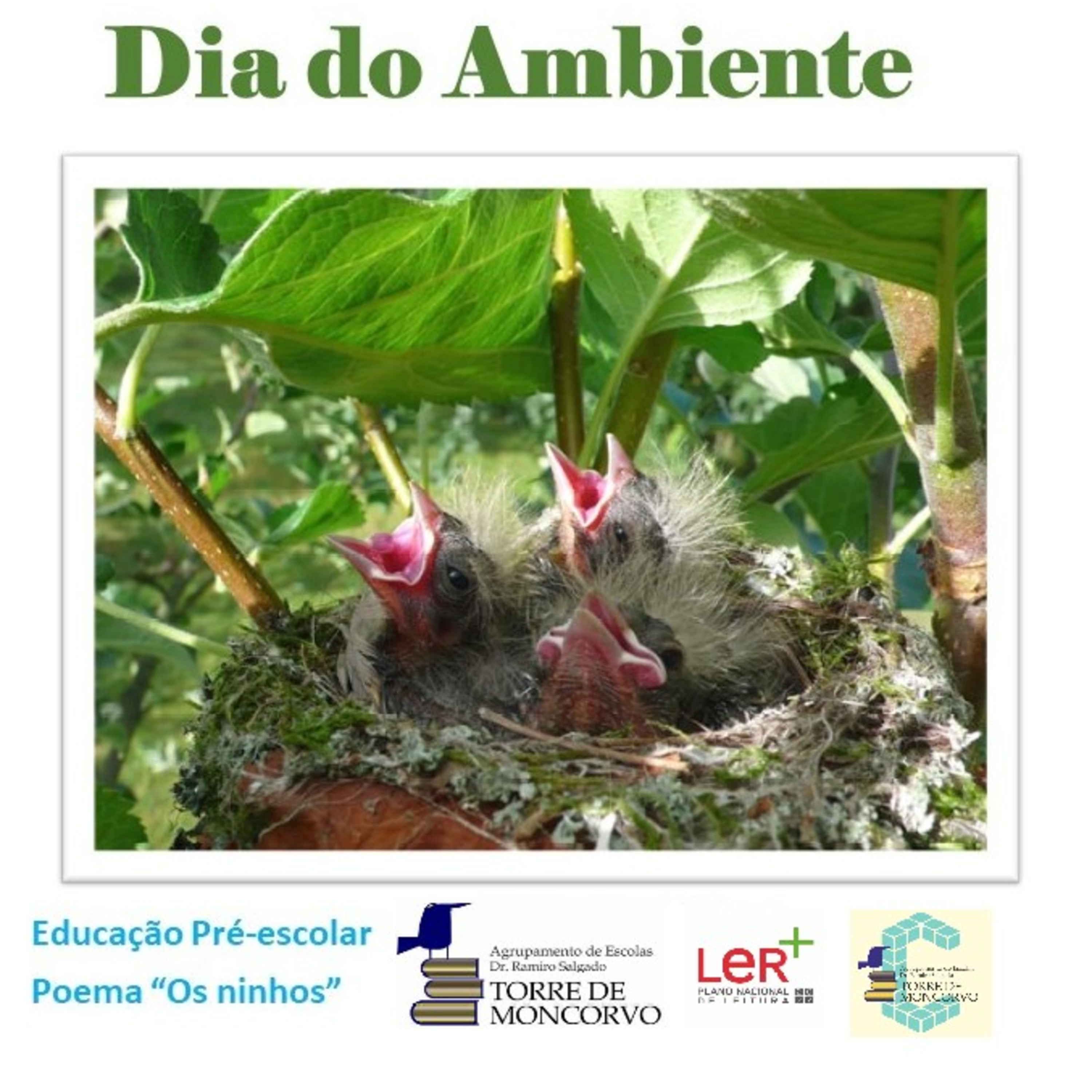 Leituras